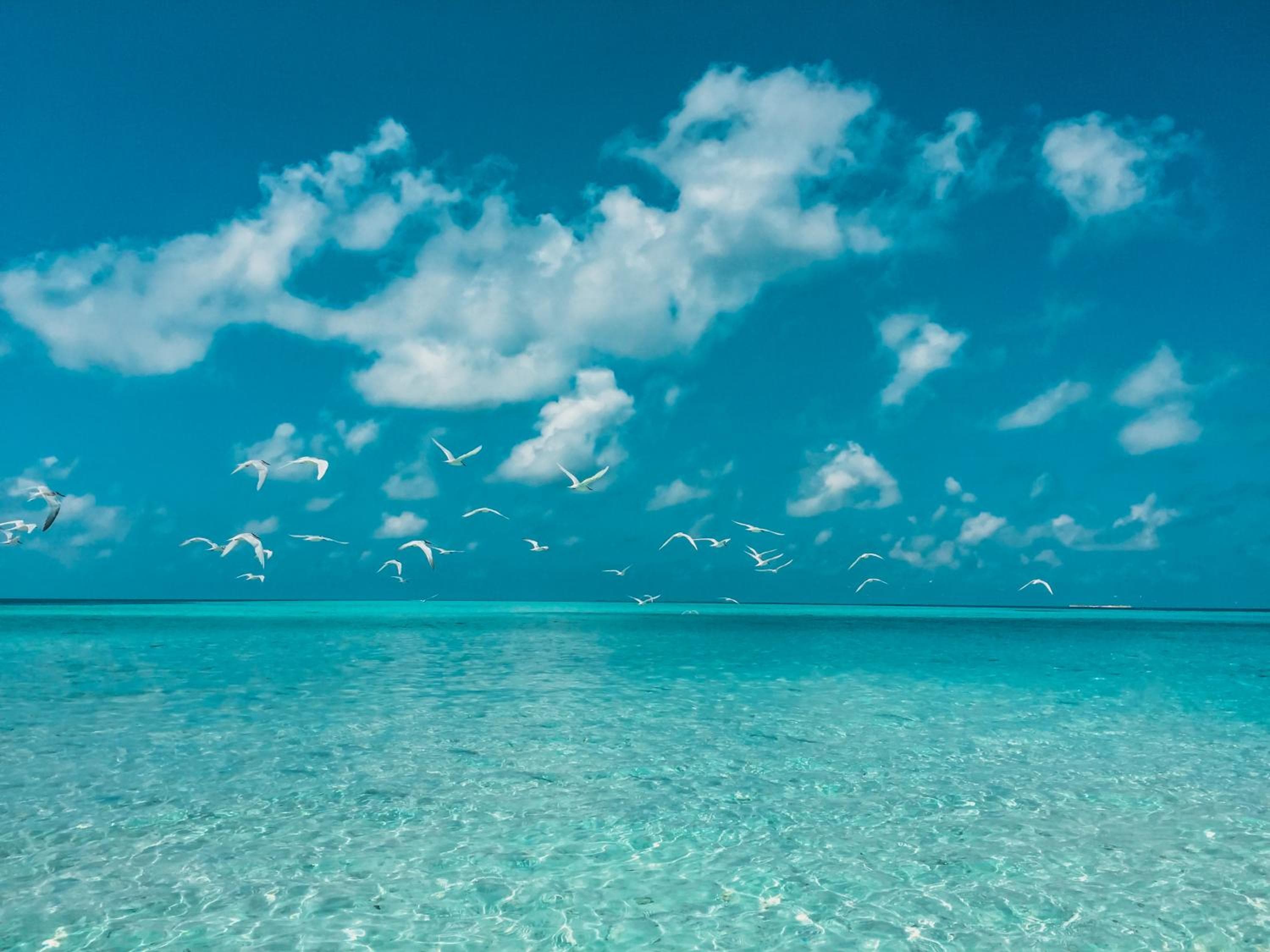 PERLA Dhangethi - View 87