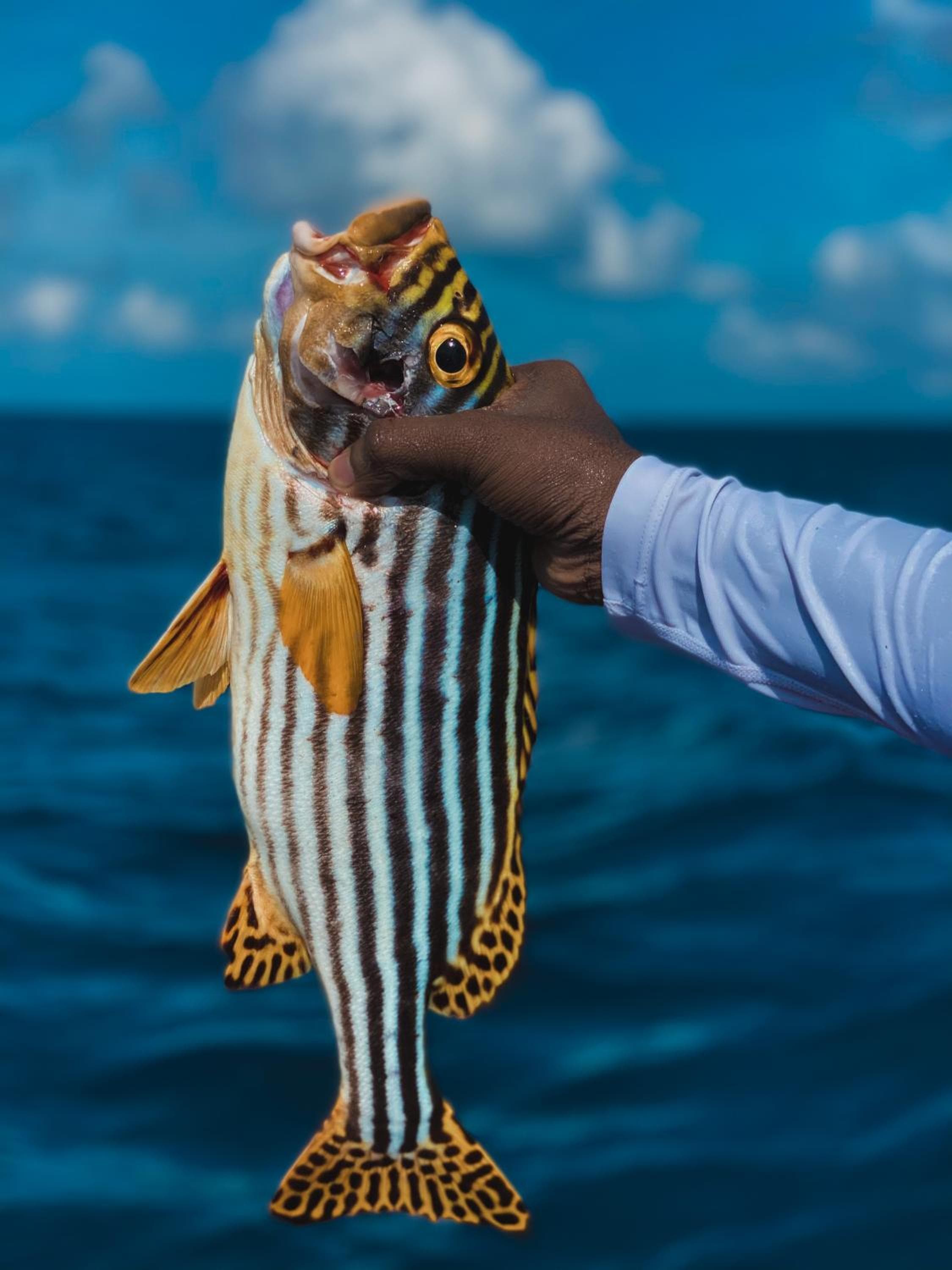 PERLA Dhangethi - View 96