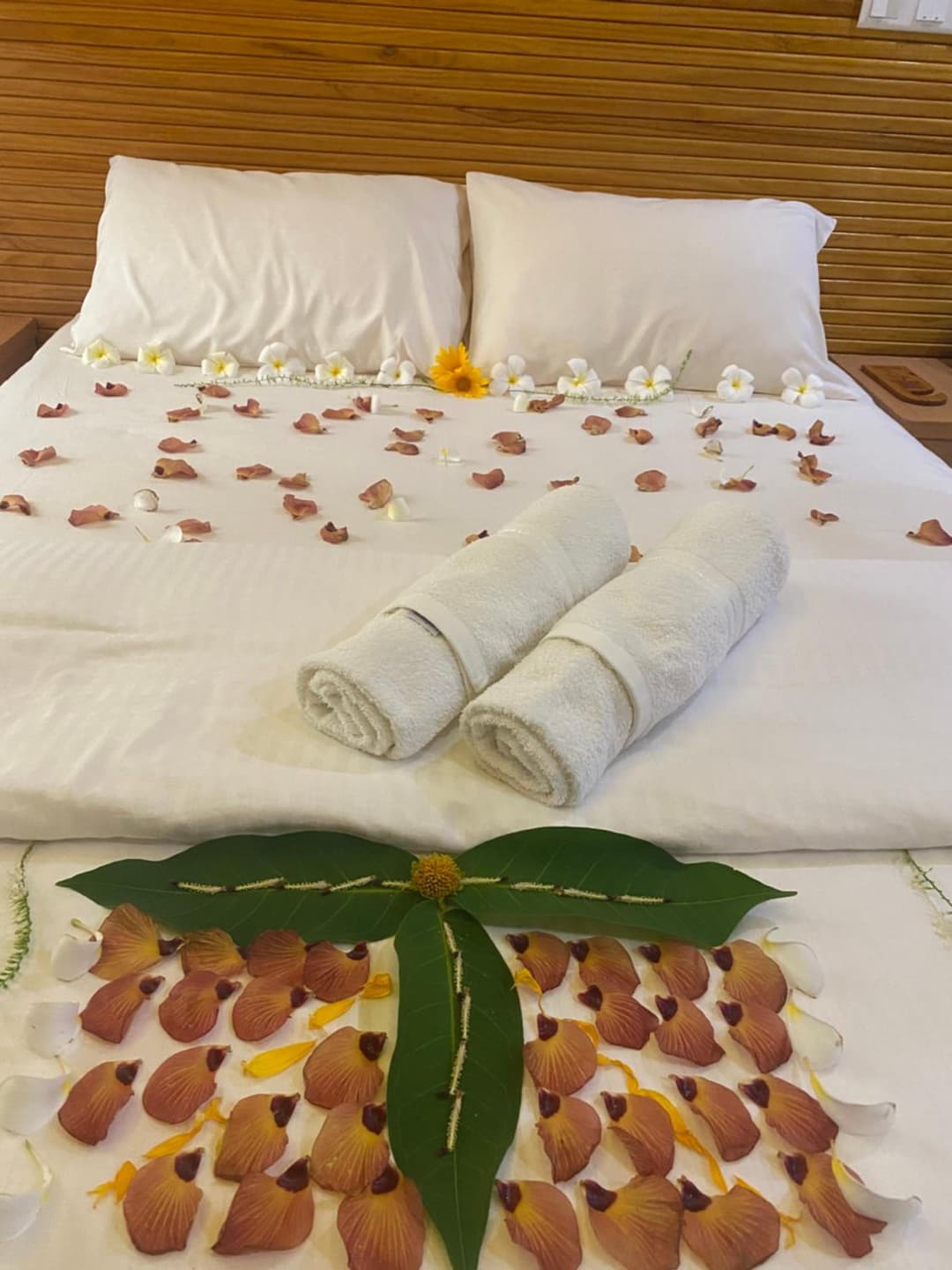 PERLA Dhangethi - View 62