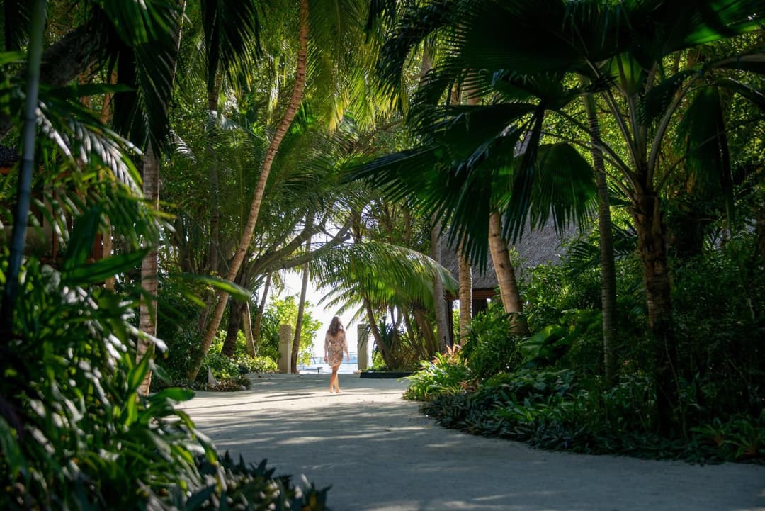 Baros Maldives - View 67
