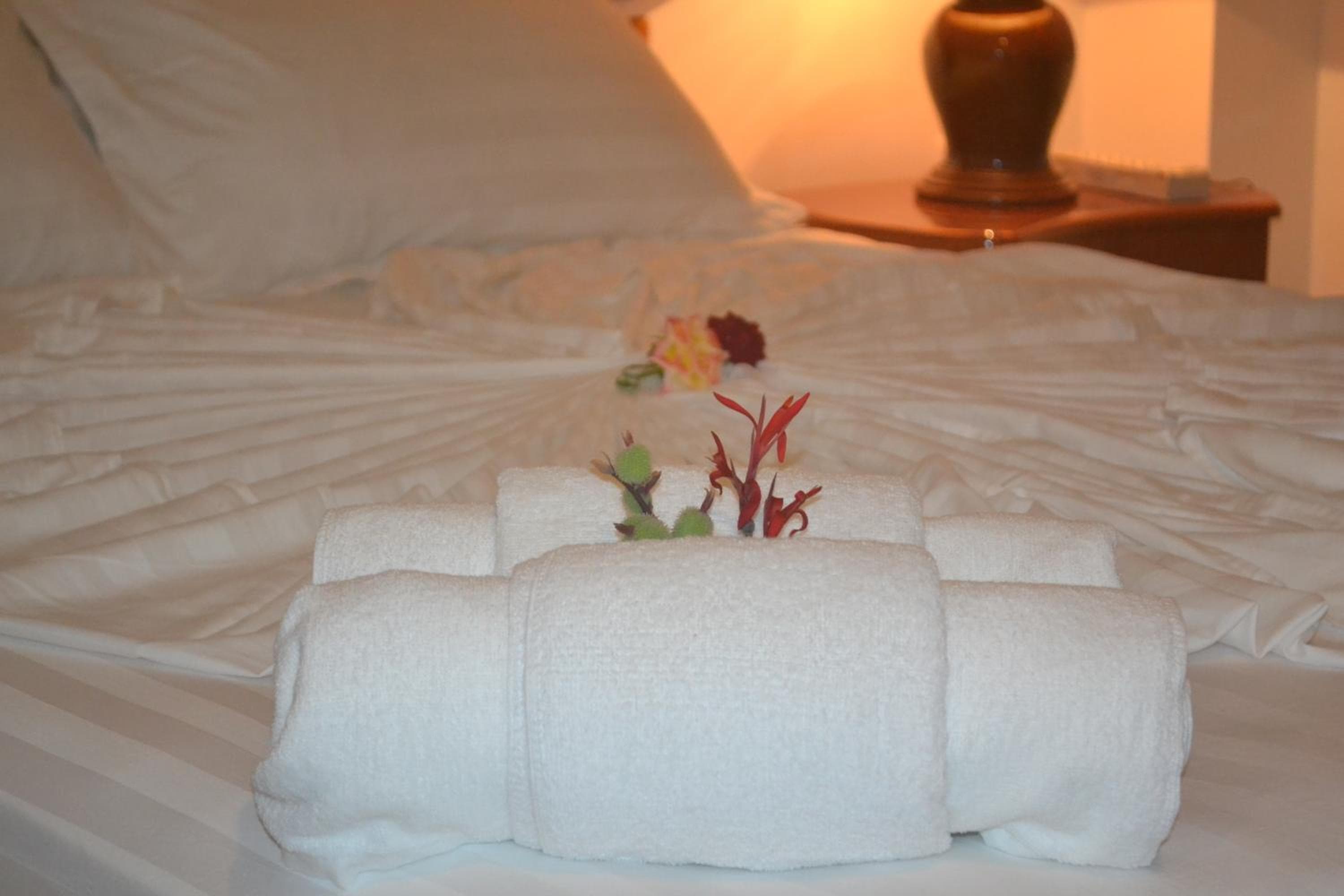 Ras Rana Lodge - View 180