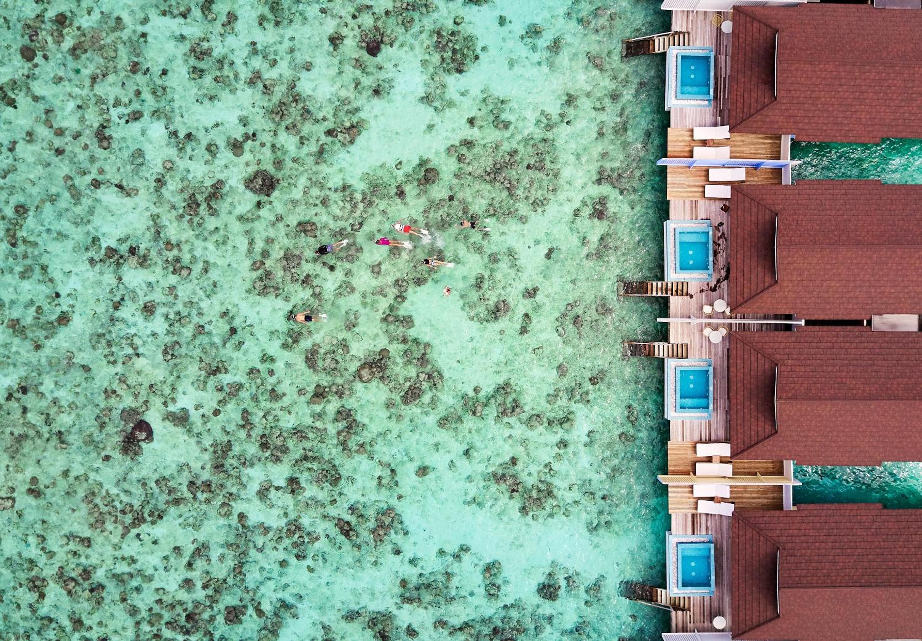 The Standard, Huruvalhi Maldives - View 61