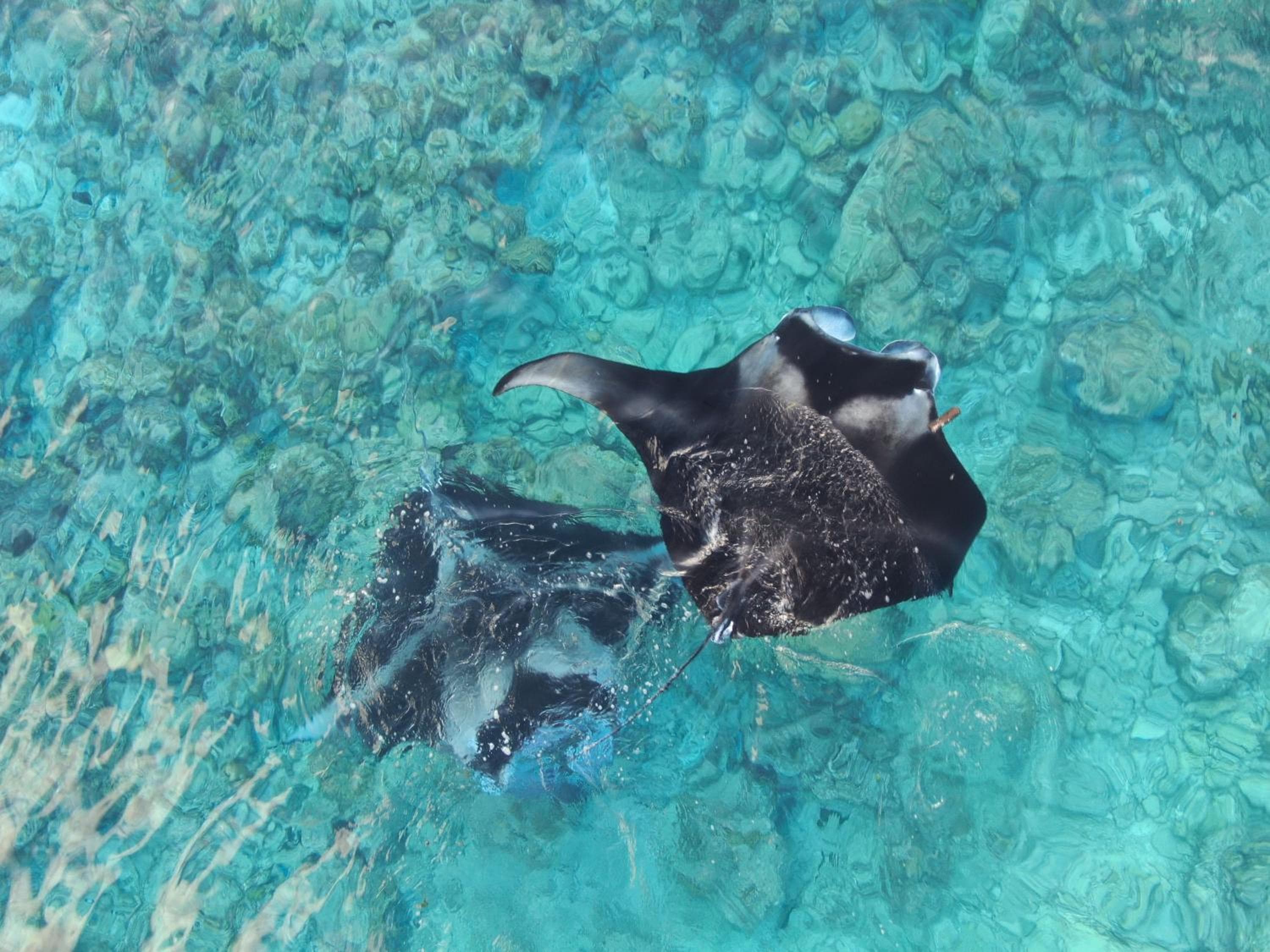 Jeym Lodge - View 31