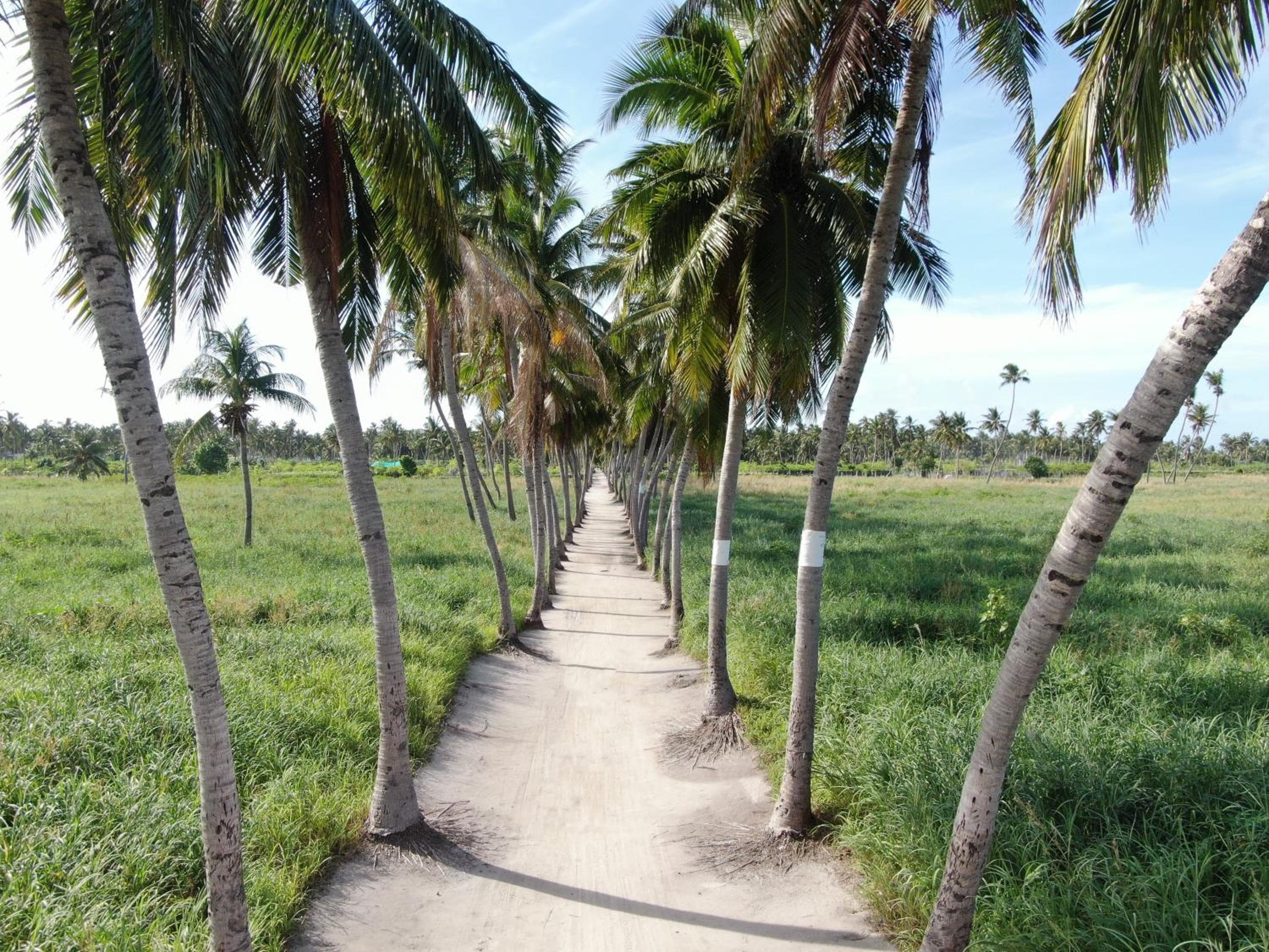 Jeym Lodge - View 50