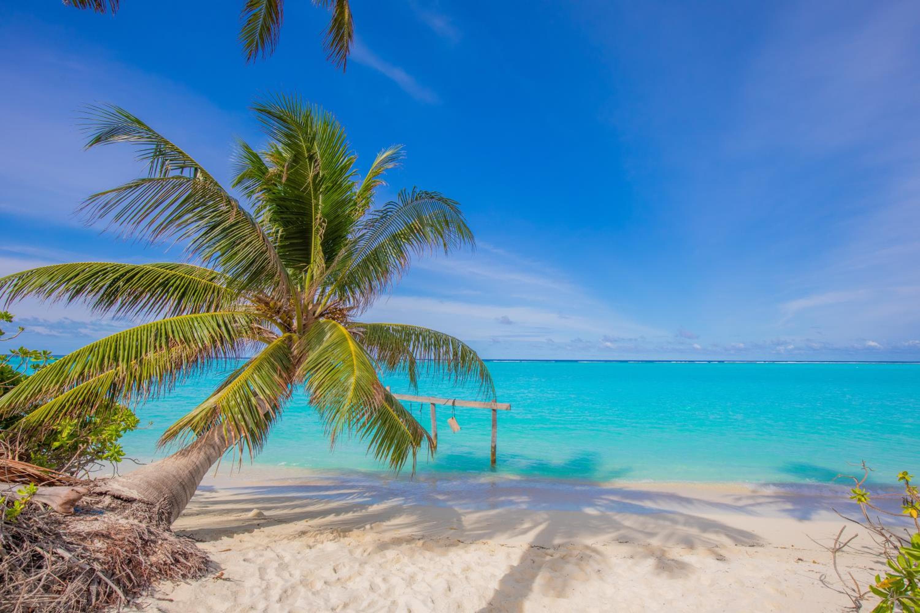 Jeym Lodge - View 55