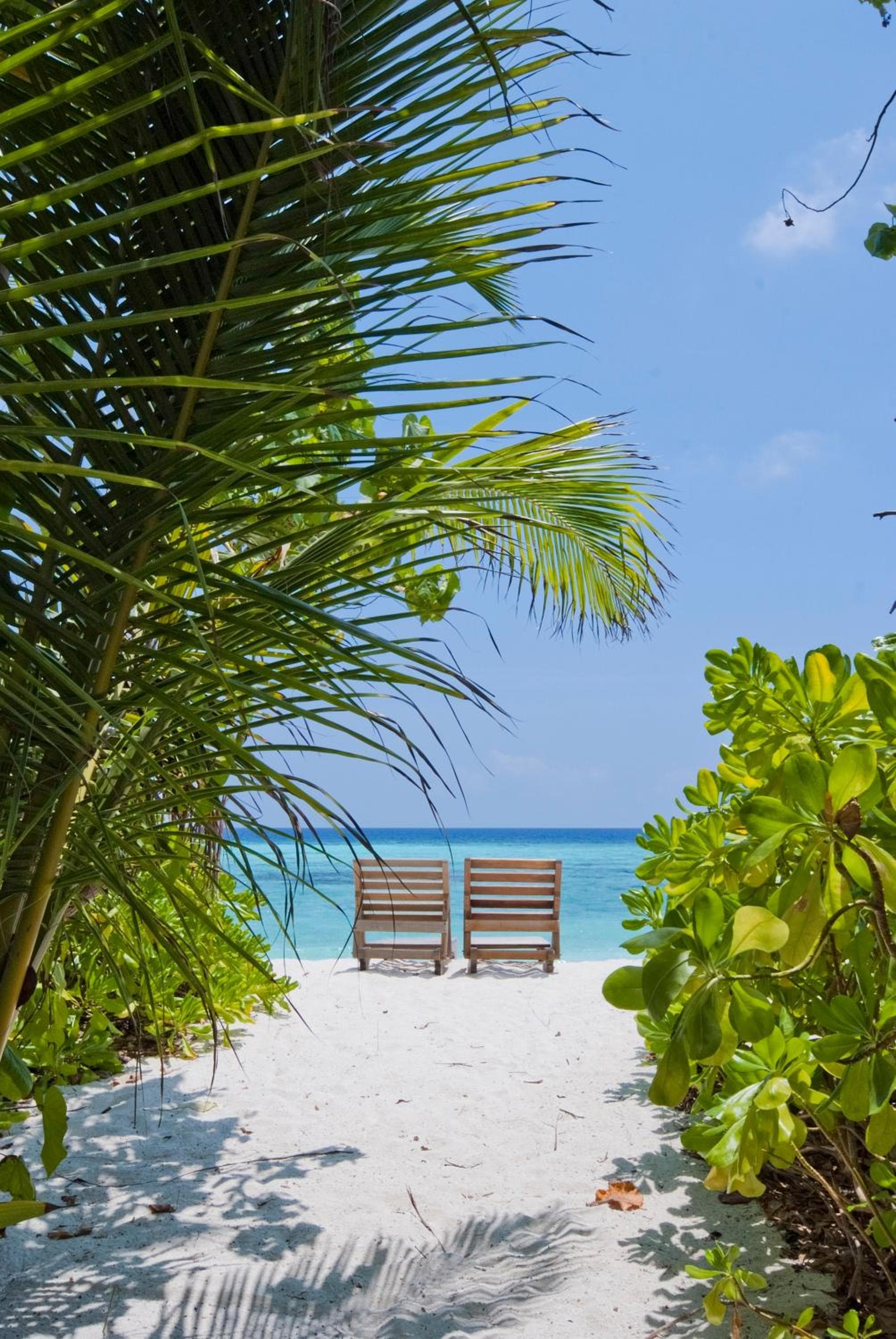 Makunudu Island- An Intimate Hideaway - View 43