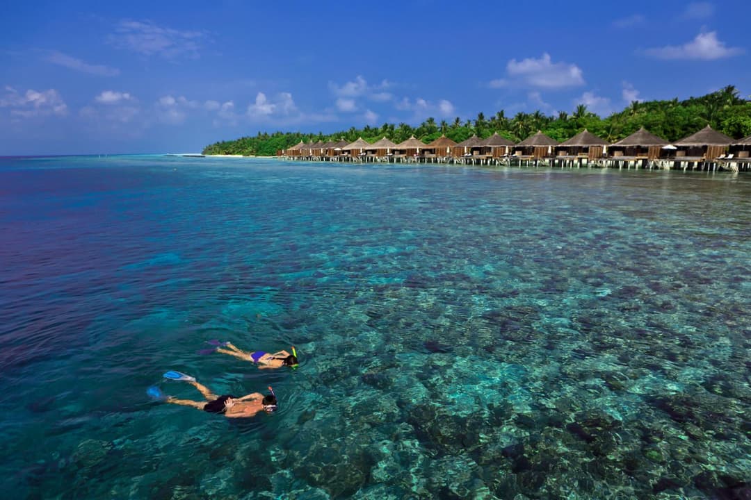 Niva Kuramathi Maldives - View 28