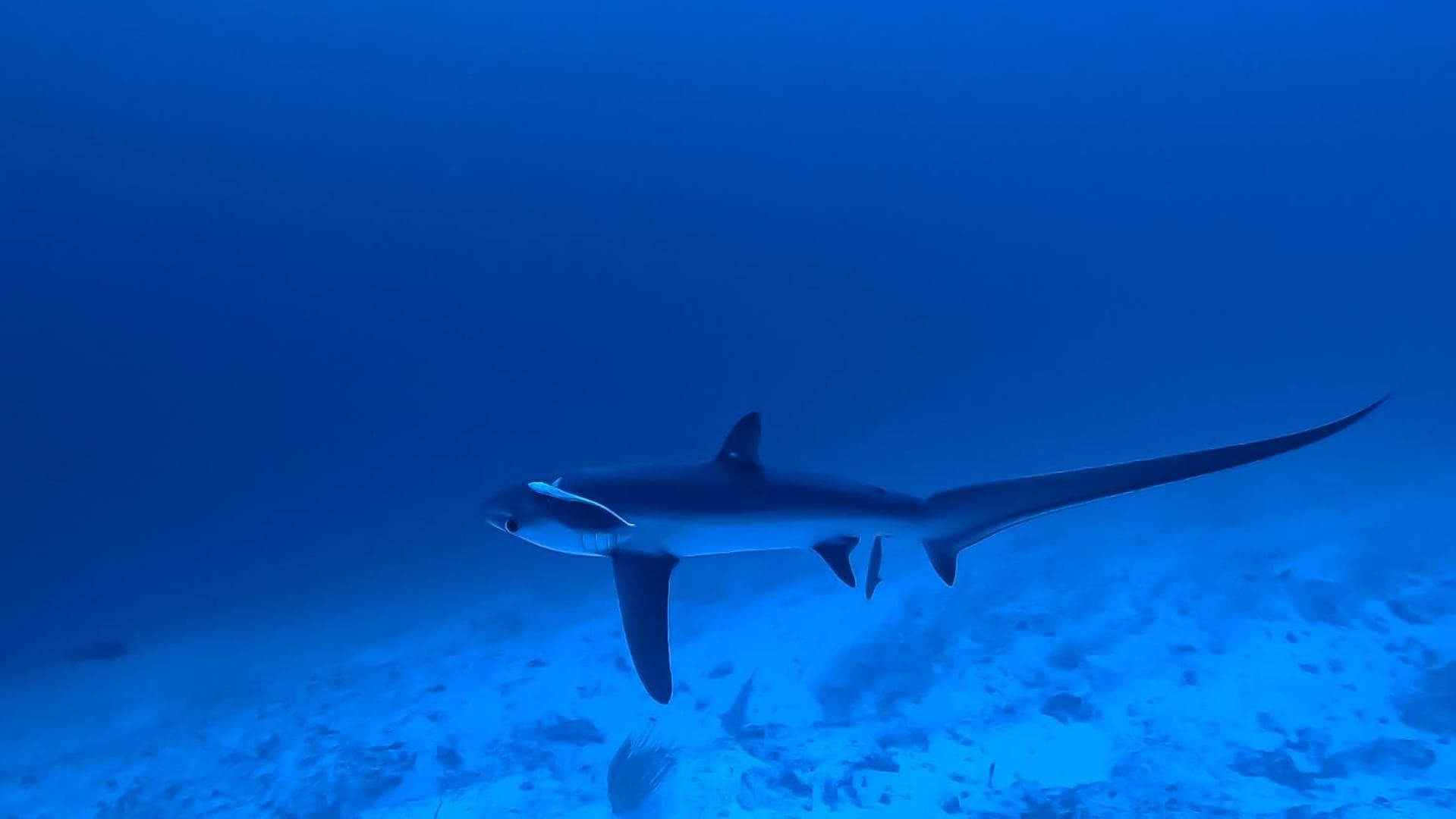 Isle Royal Inn - View 22