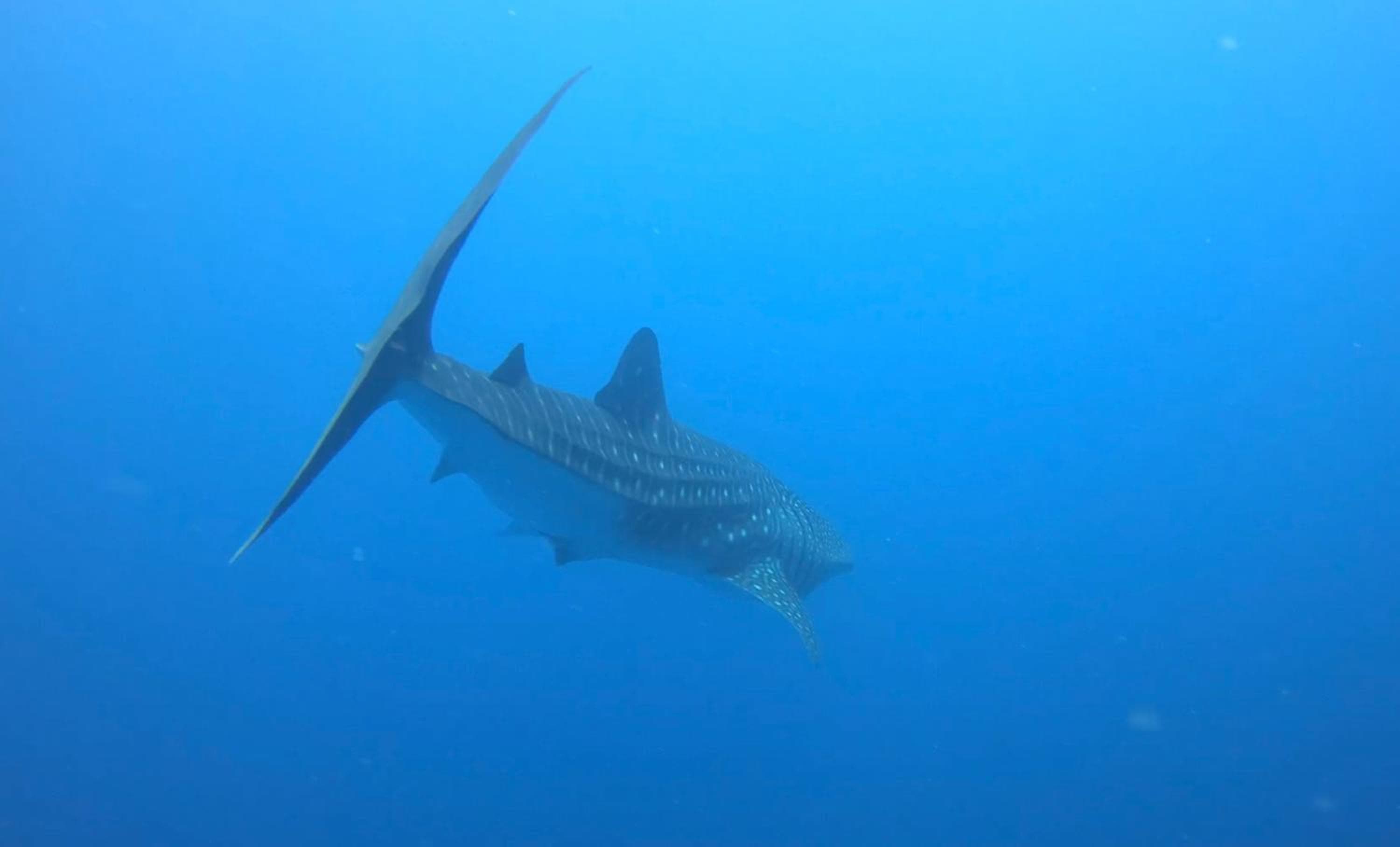 Isle Royal Inn - View 21