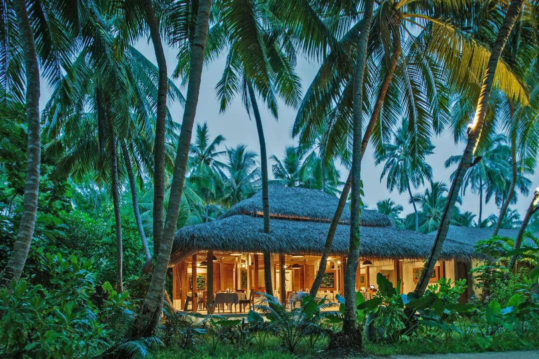 Niva Kuramathi Maldives - View 81