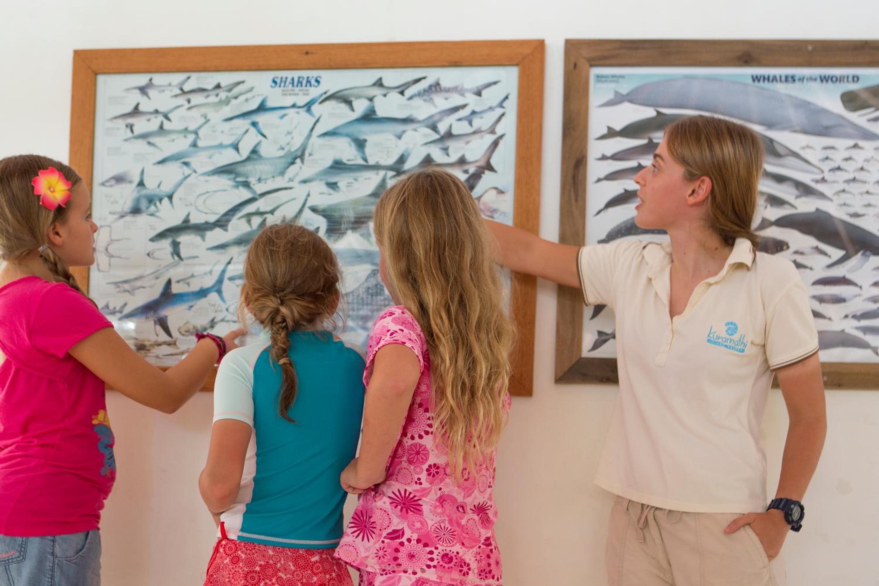 Kuramathi Maldives - View 50