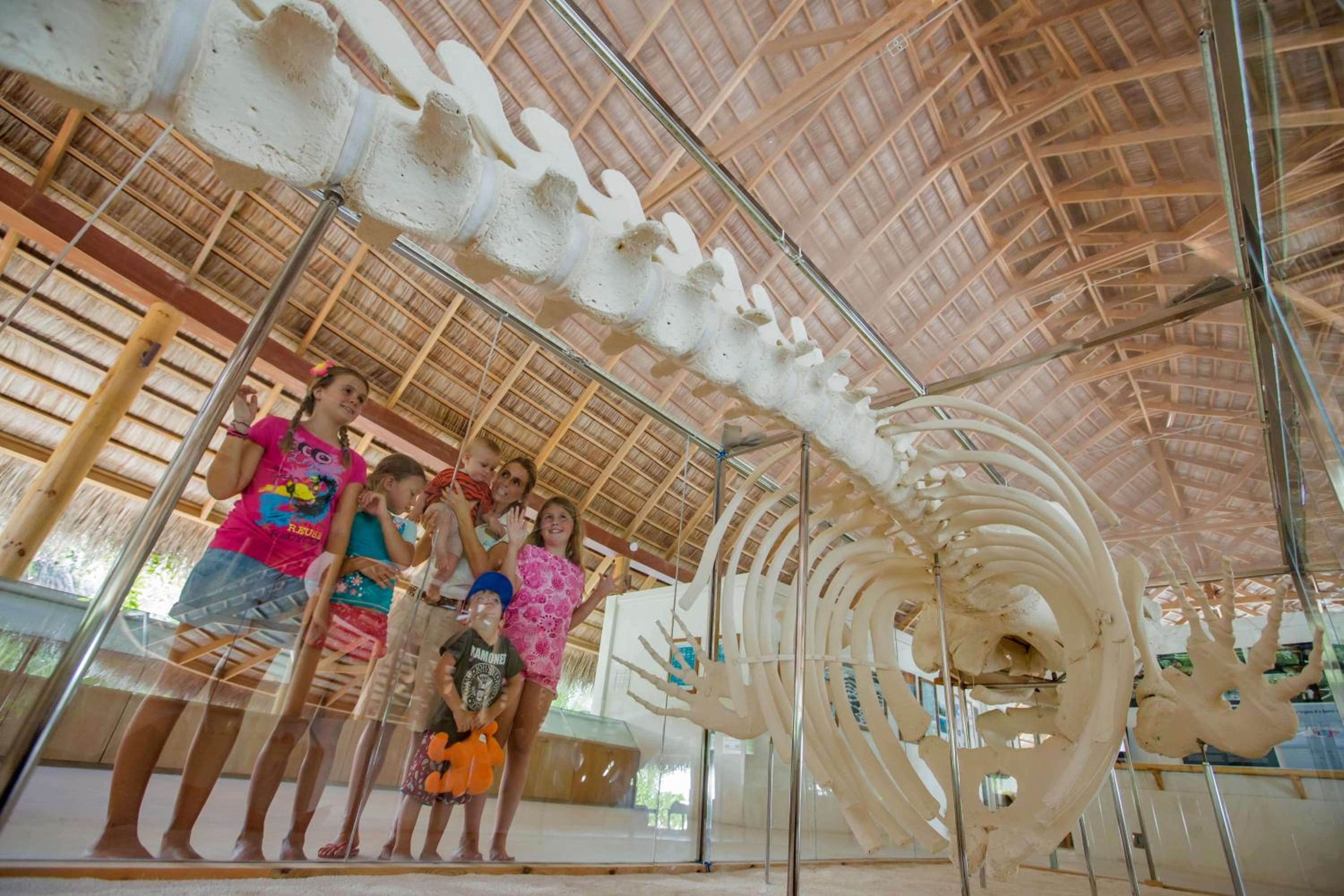 Kuramathi Maldives - View 51