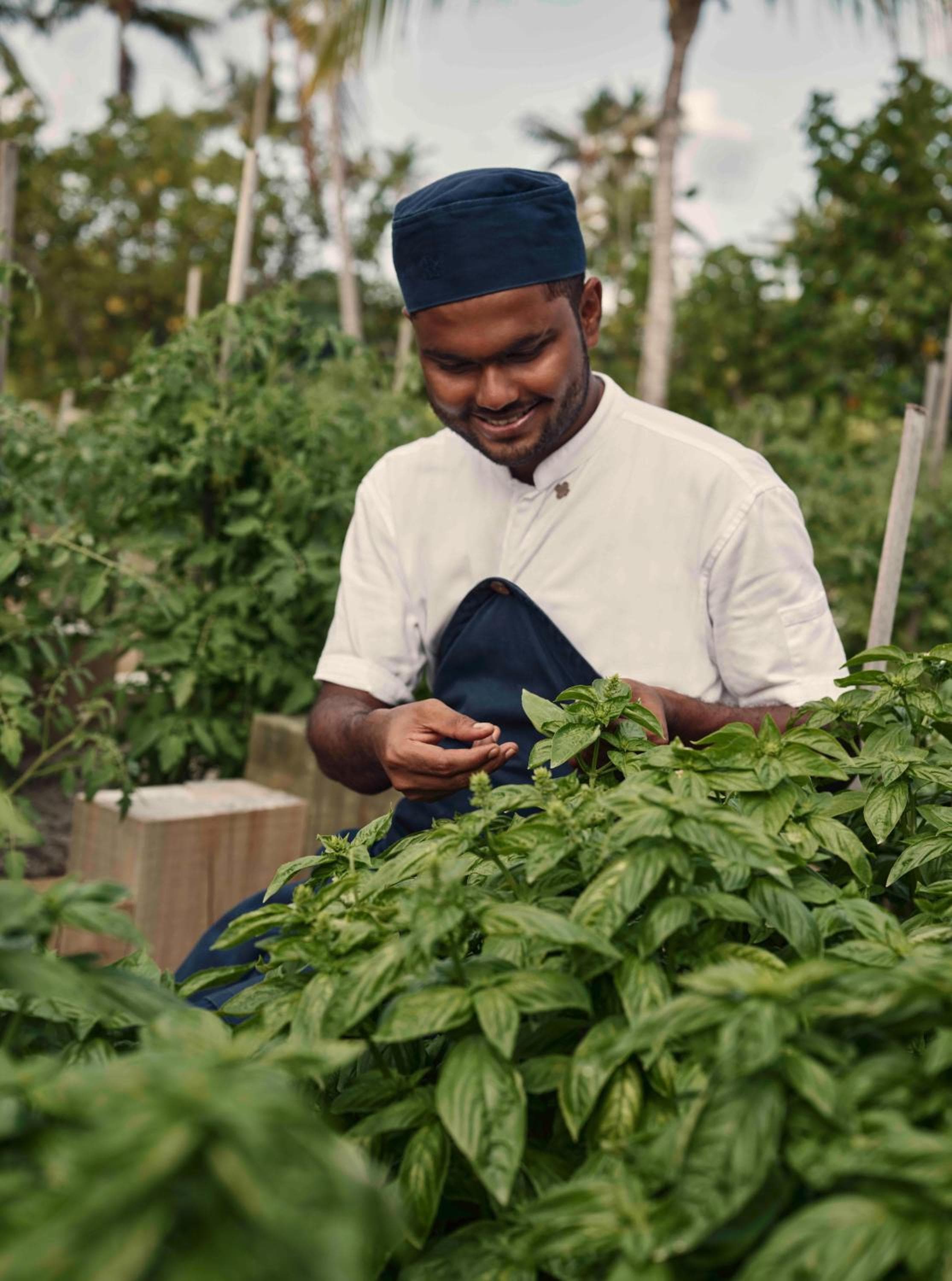 Patina Maldives, Fari Islands - View 181