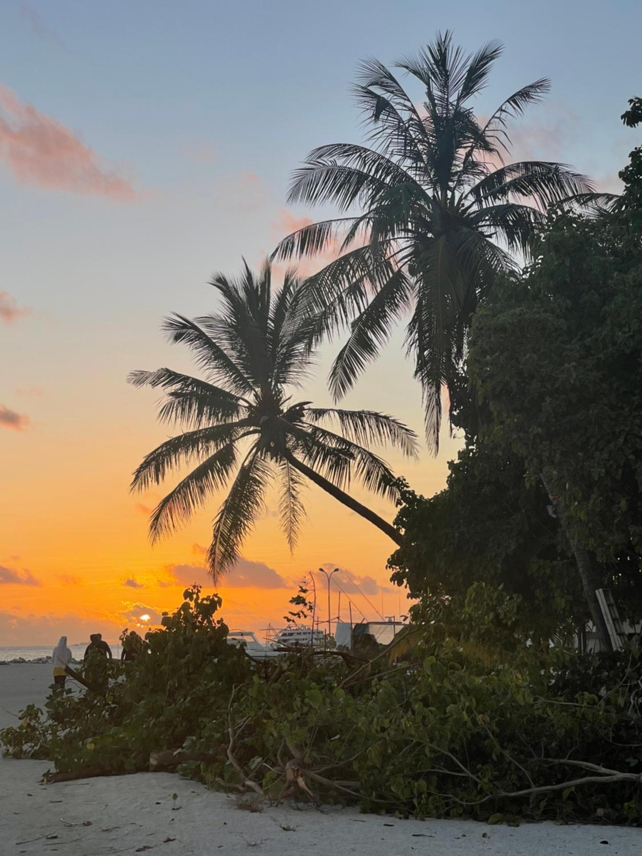 La Isla Tropica - View 80