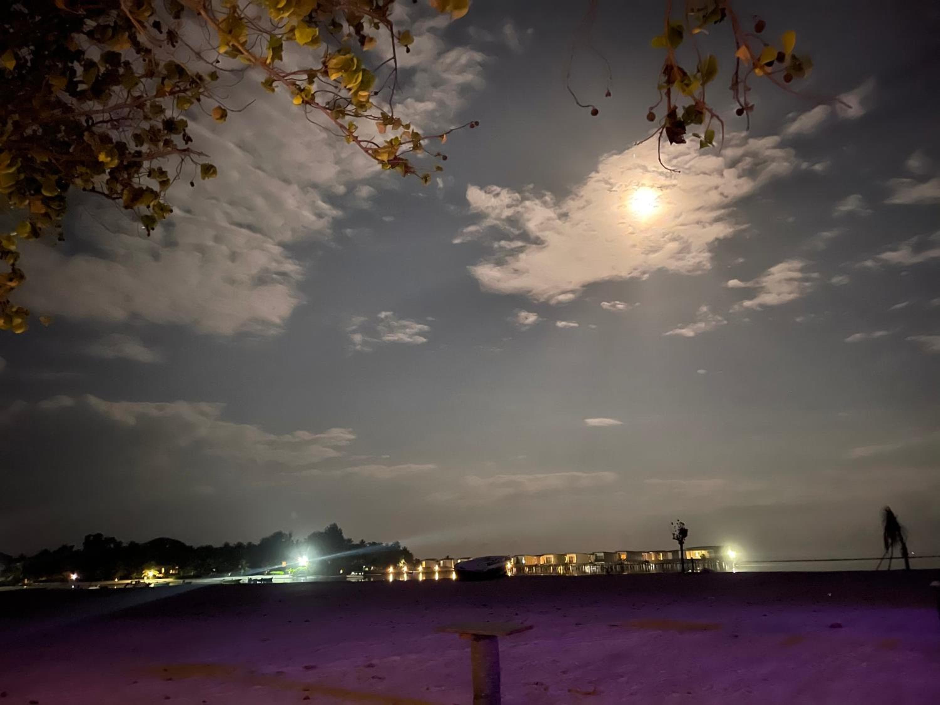 La Isla Tropica - View 79