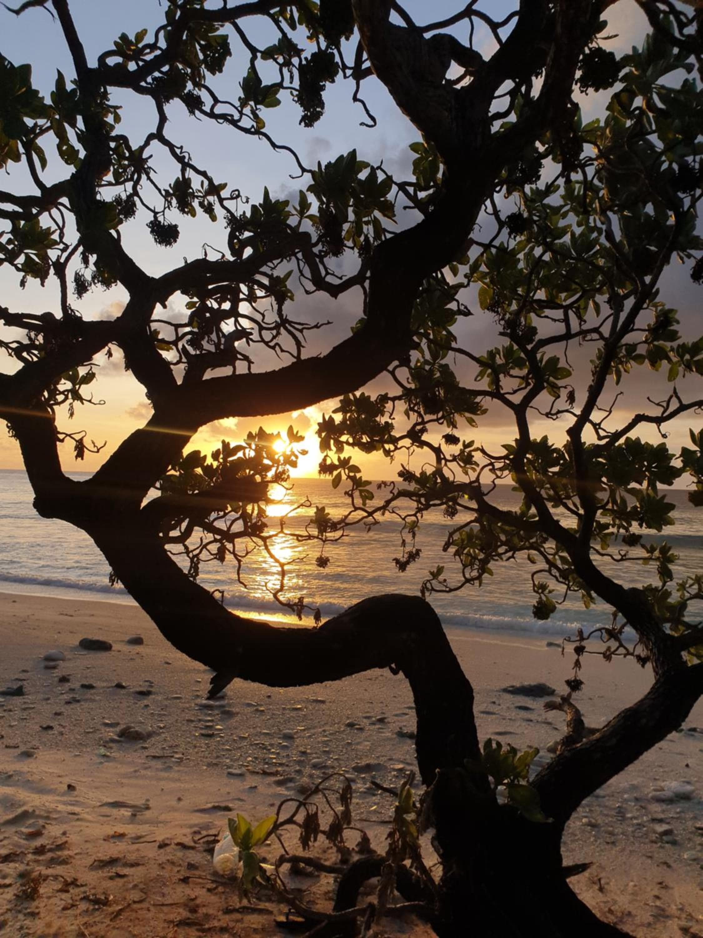 Isle Royal Inn - View 49