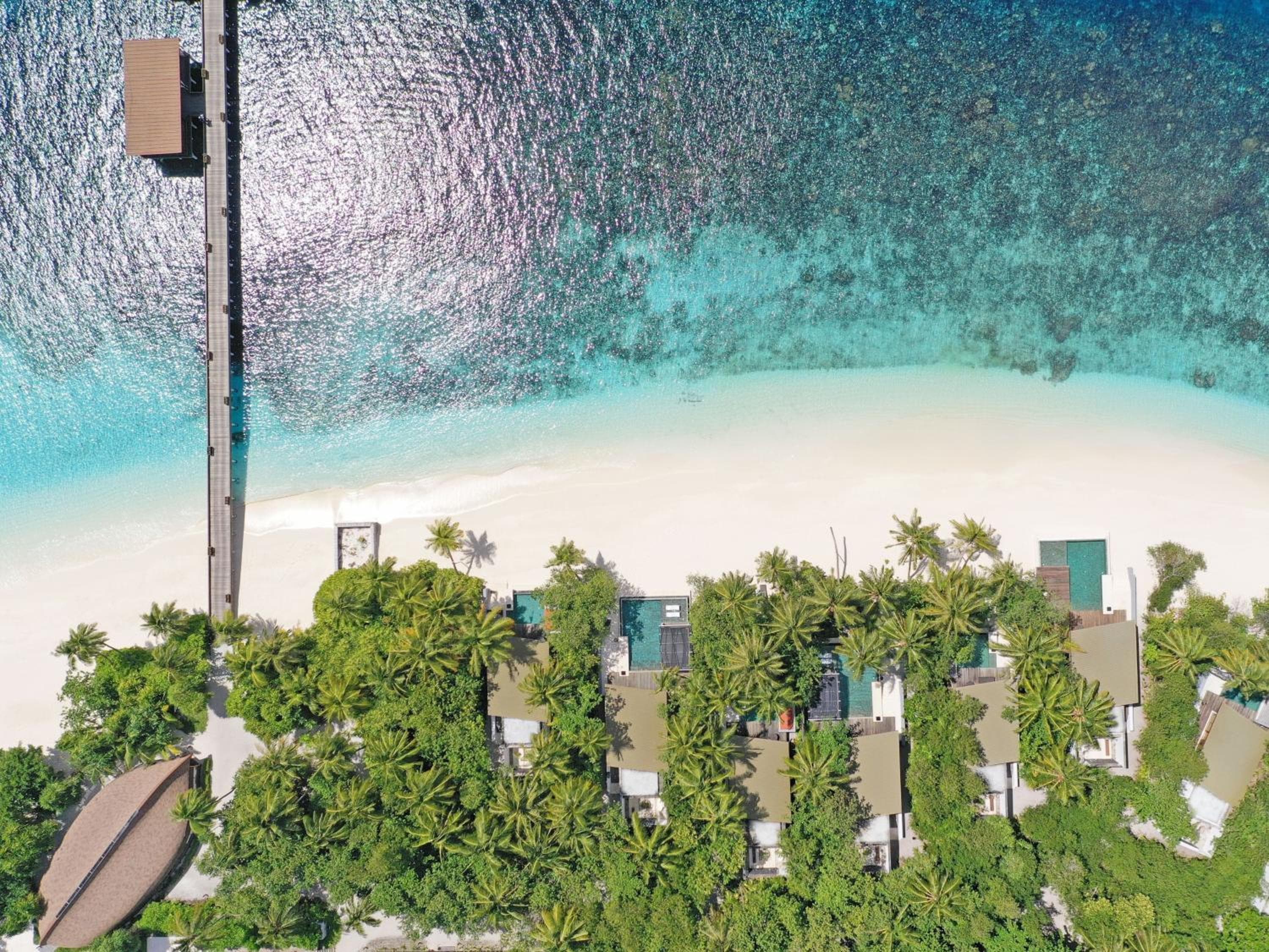 Park Hyatt Maldives Hadahaa - View 141
