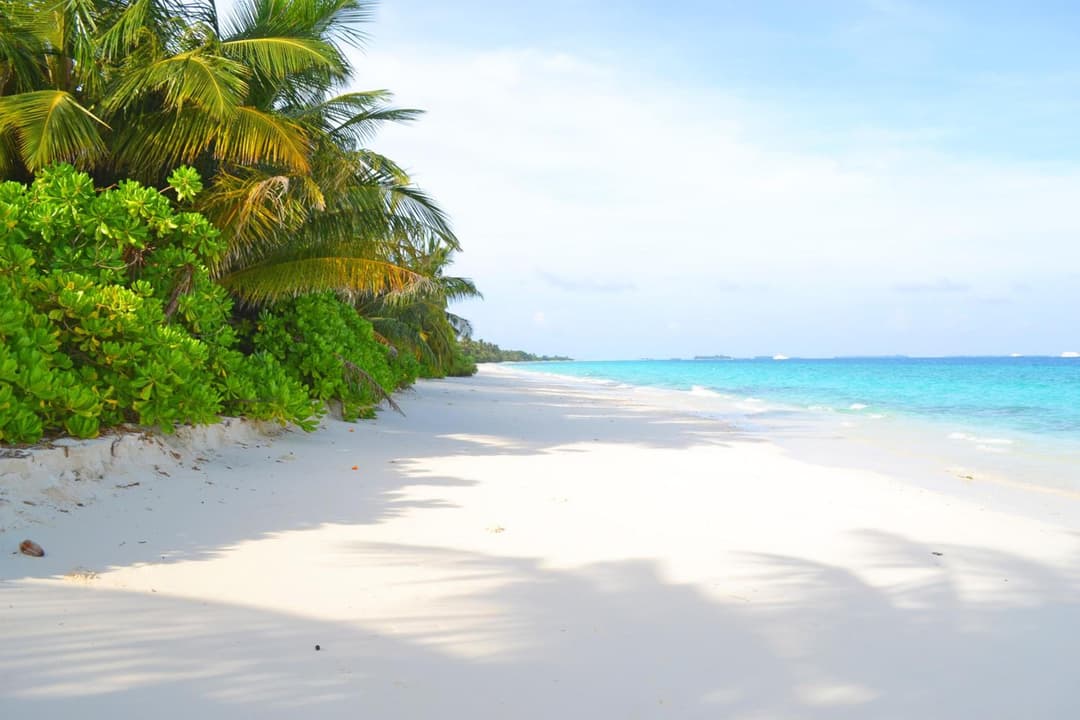 TME Retreats Dhigurah - View 68