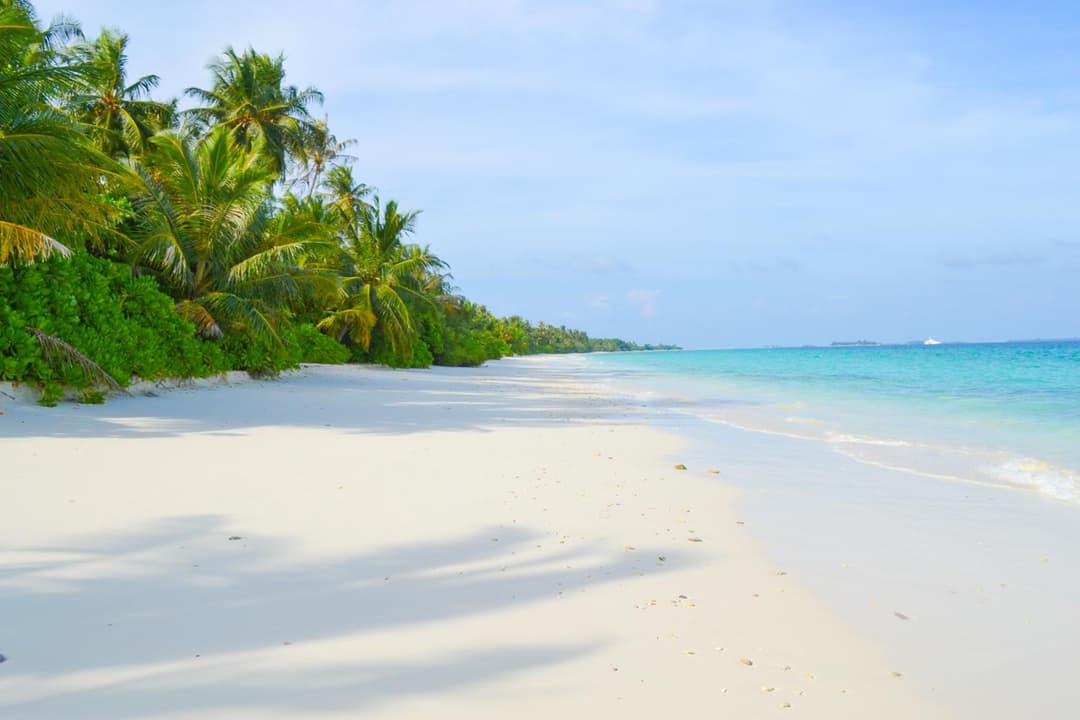 TME Retreats Dhigurah - View 105