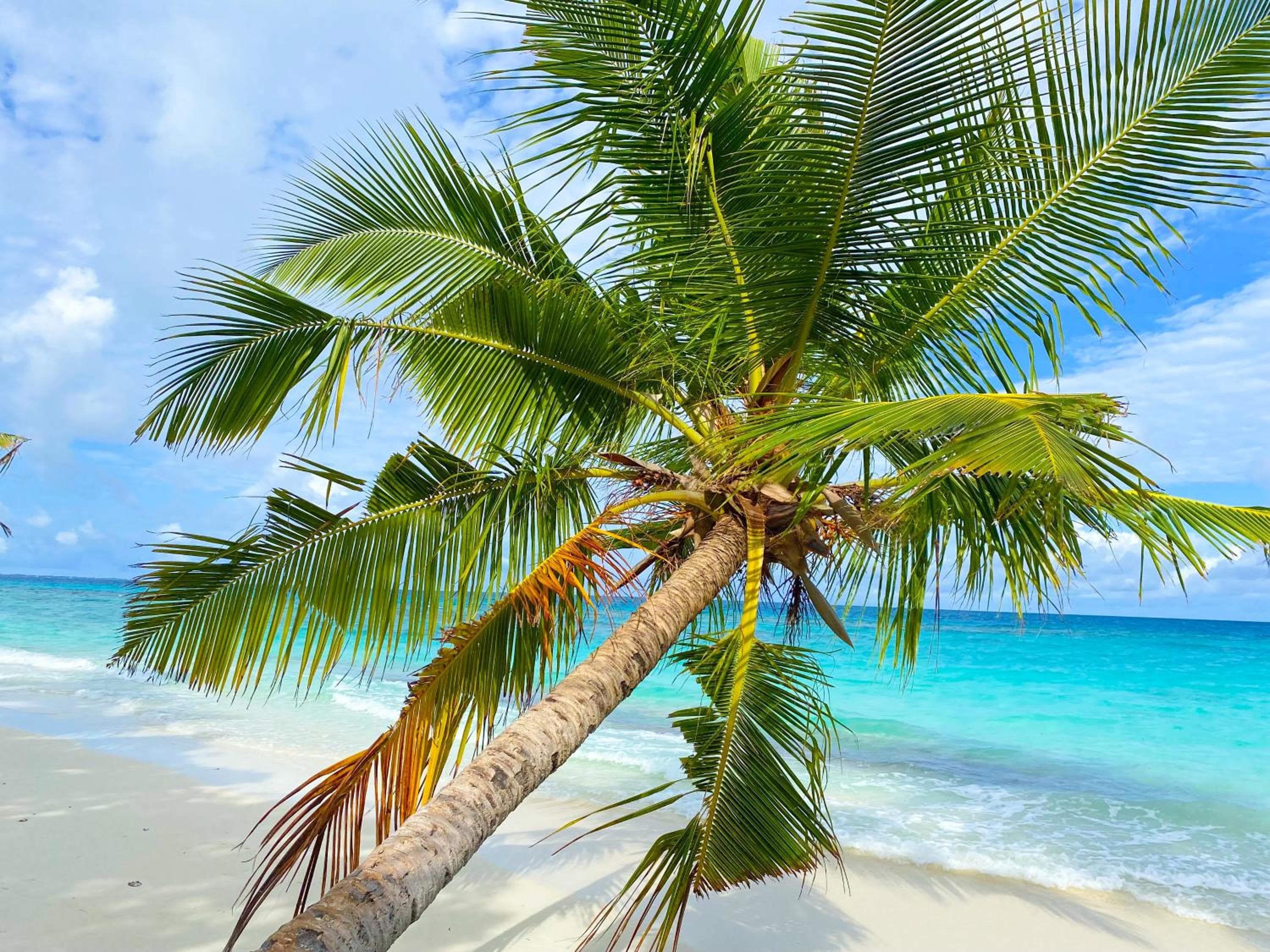 TME Retreats Dhigurah - View 4