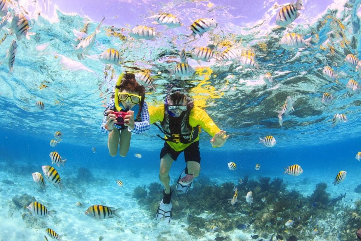 Paradise Retreat, Maafushi - View 5