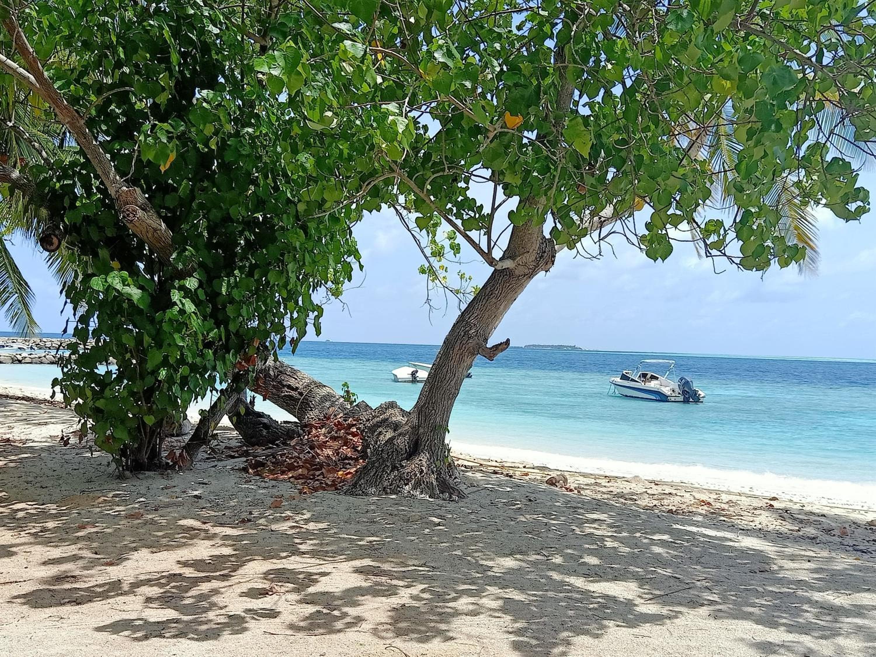 Fins Dive and Leisure Hotel - View 24