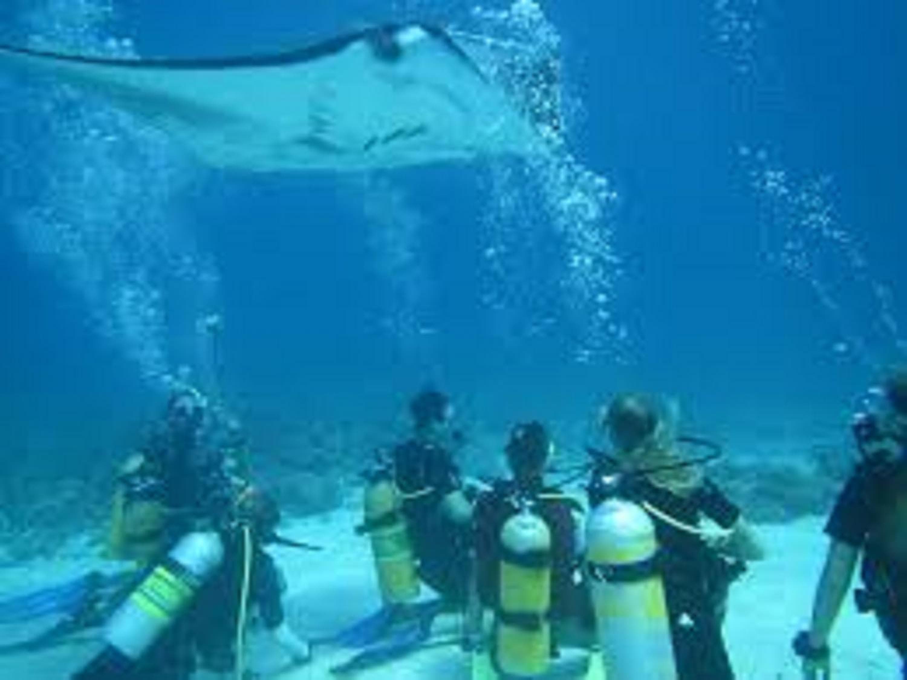 Fins Dive and Leisure Hotel - View 16