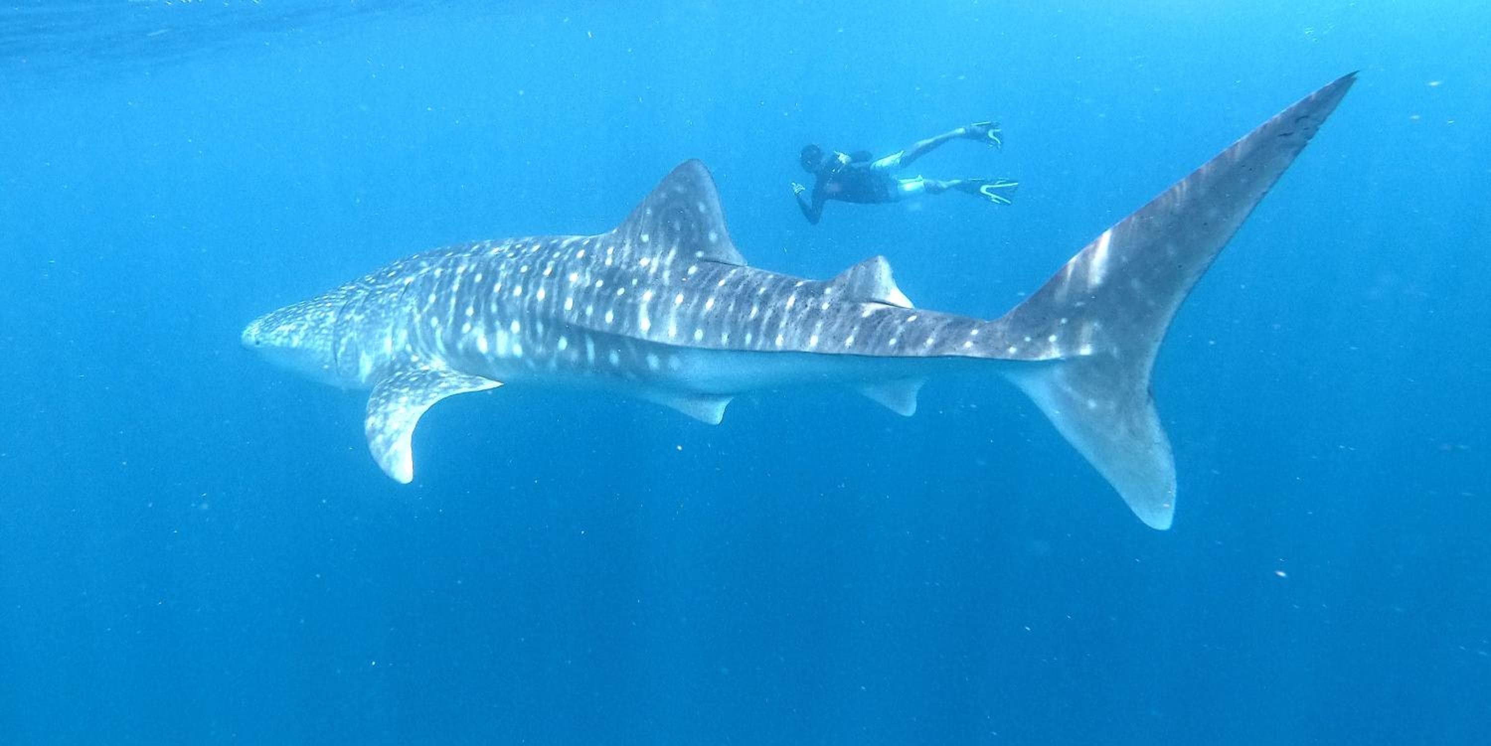 By the shade Maldives - View 19
