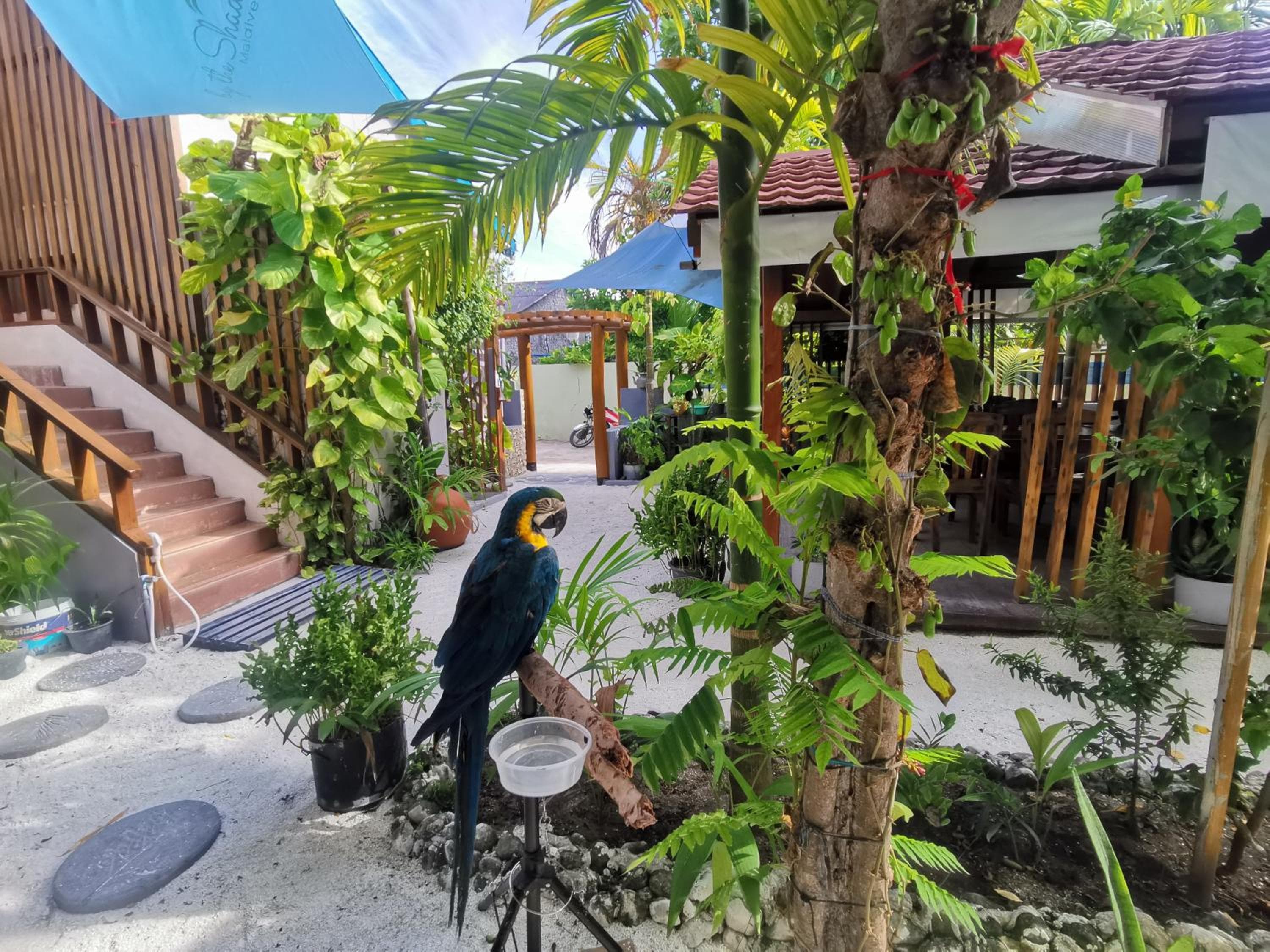 By the shade Maldives - View 17