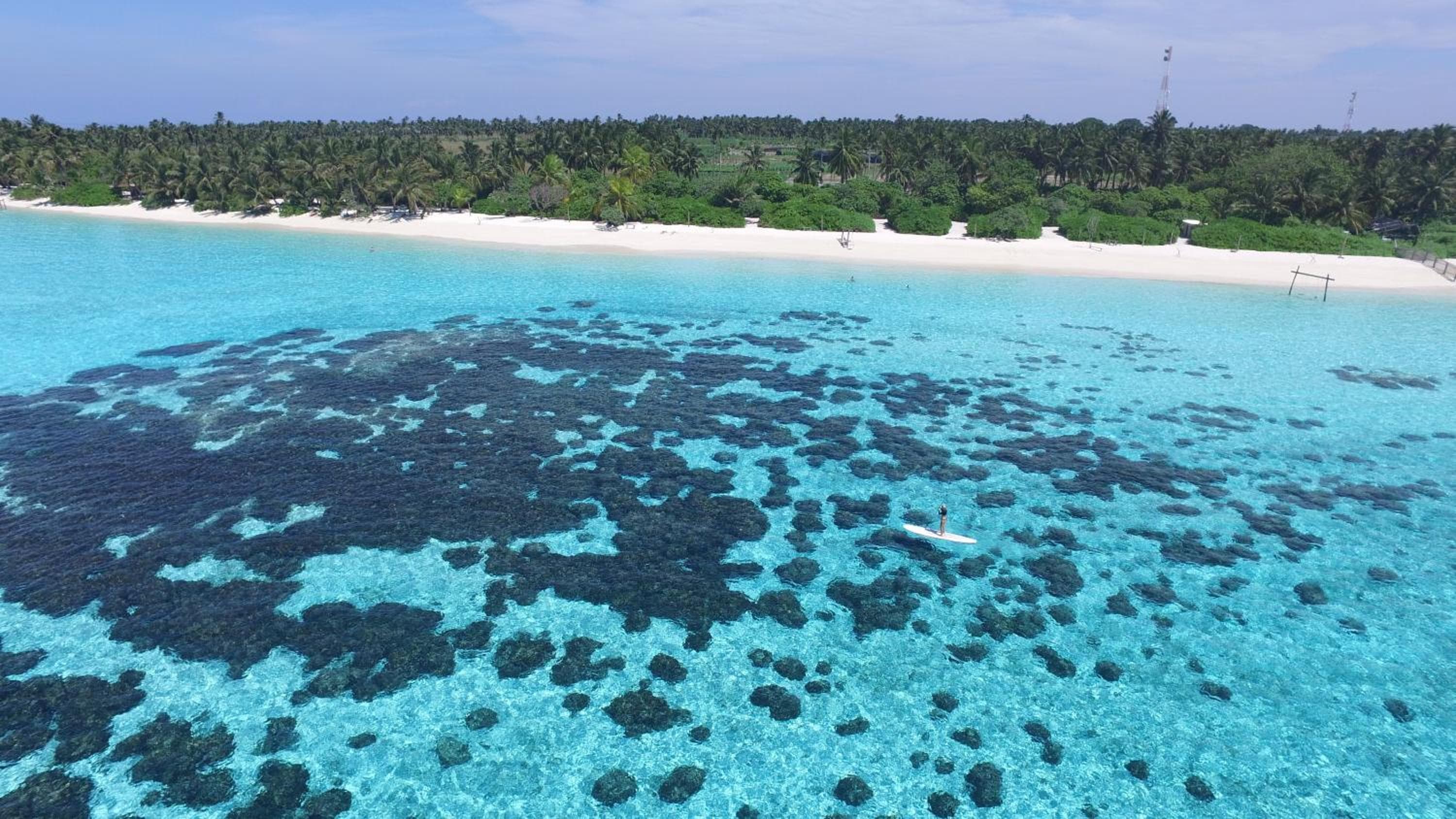 New Breeze Thoddoo Inn - View 13