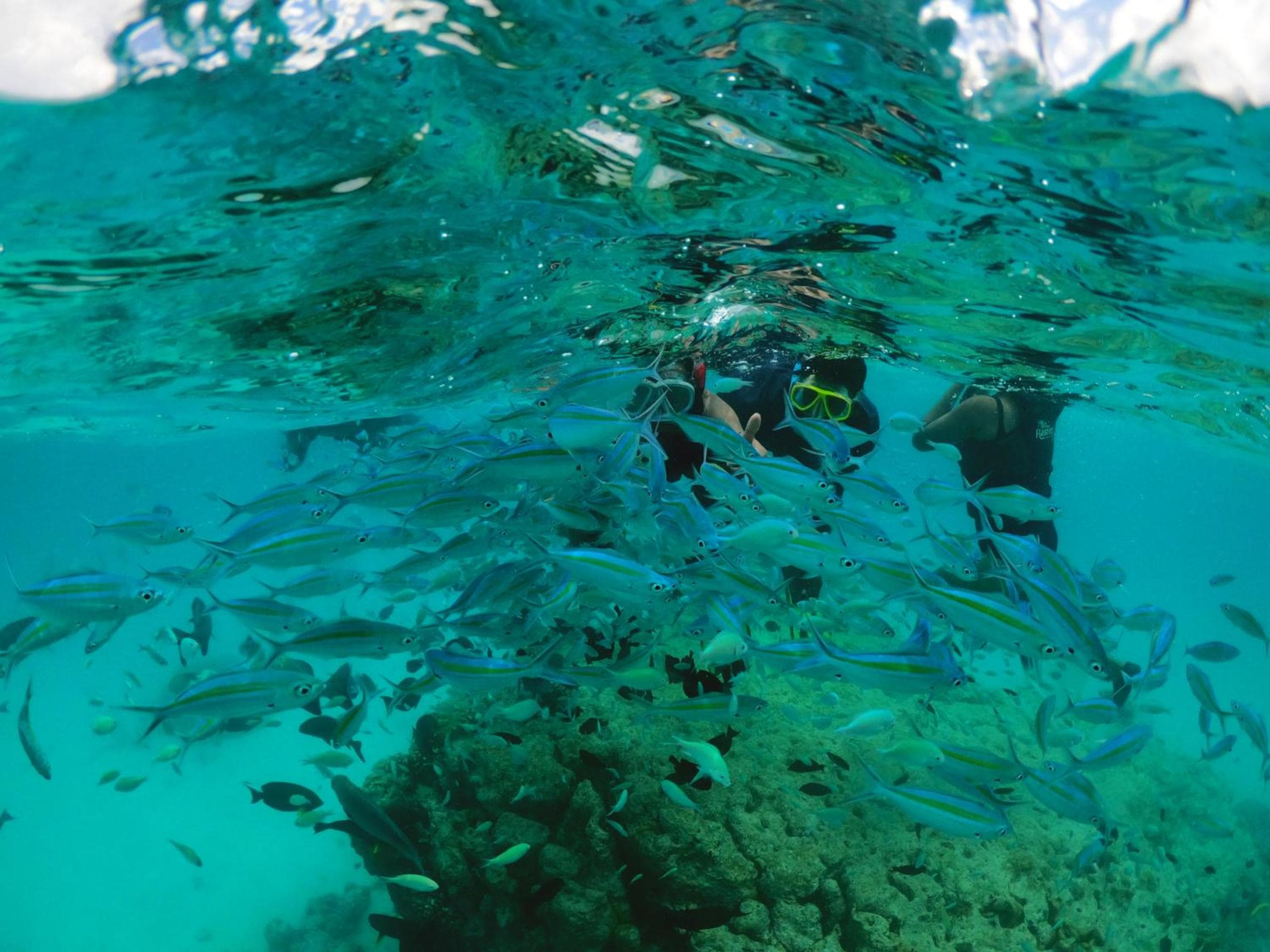 Rasdu View Inn - View 43