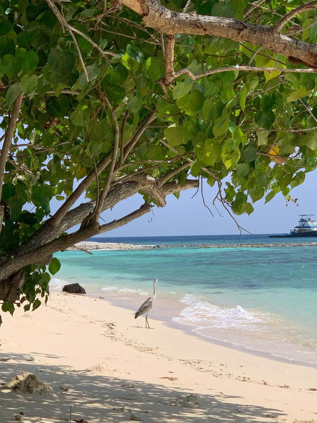 Dhamana Beach - View 39