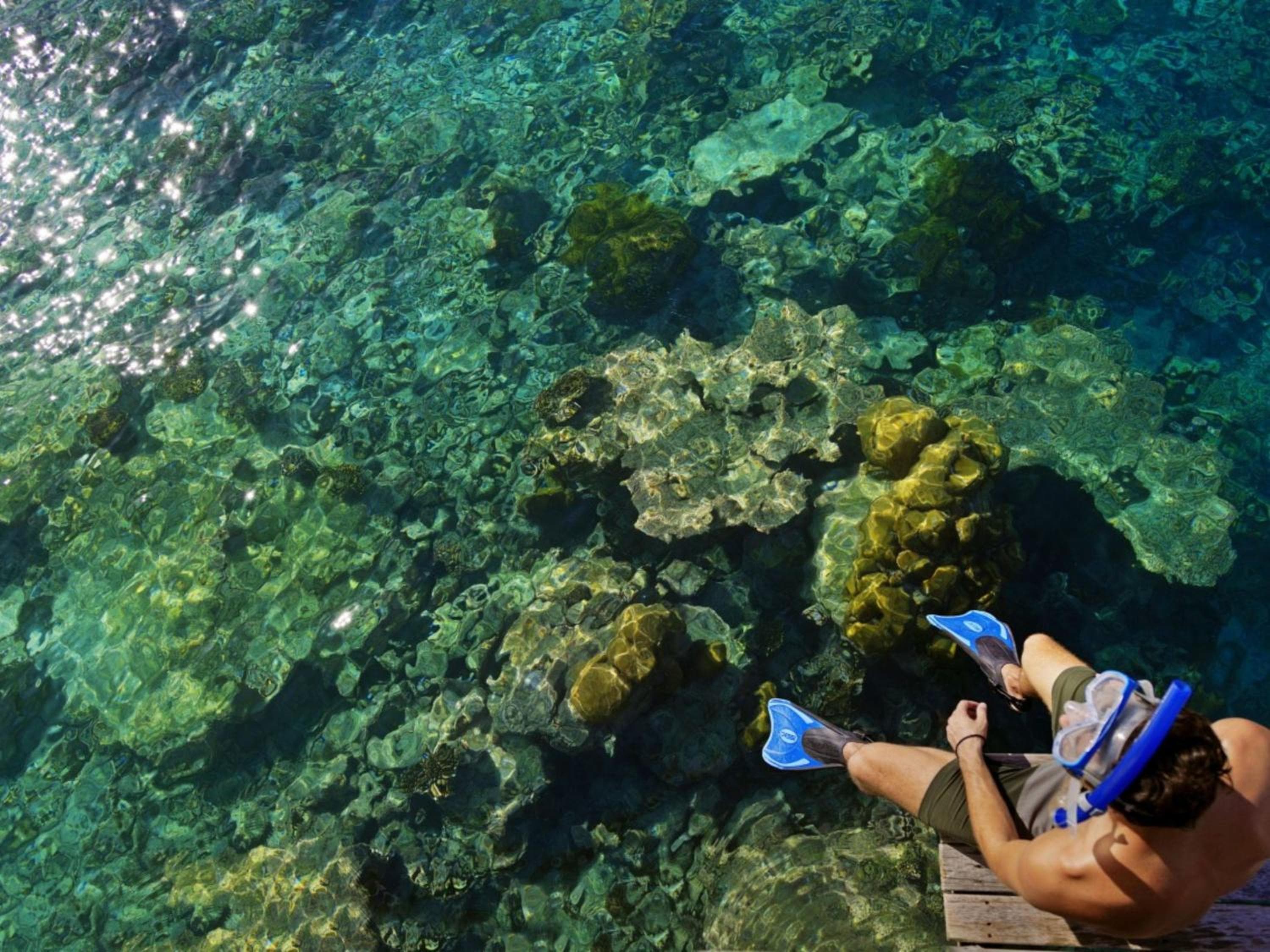 Park Hyatt Maldives Hadahaa - View 159