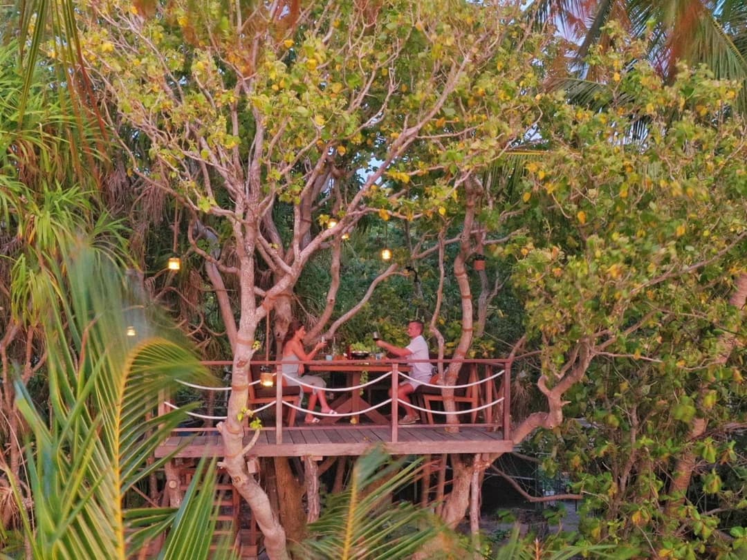 Park Hyatt Maldives Hadahaa - View 140