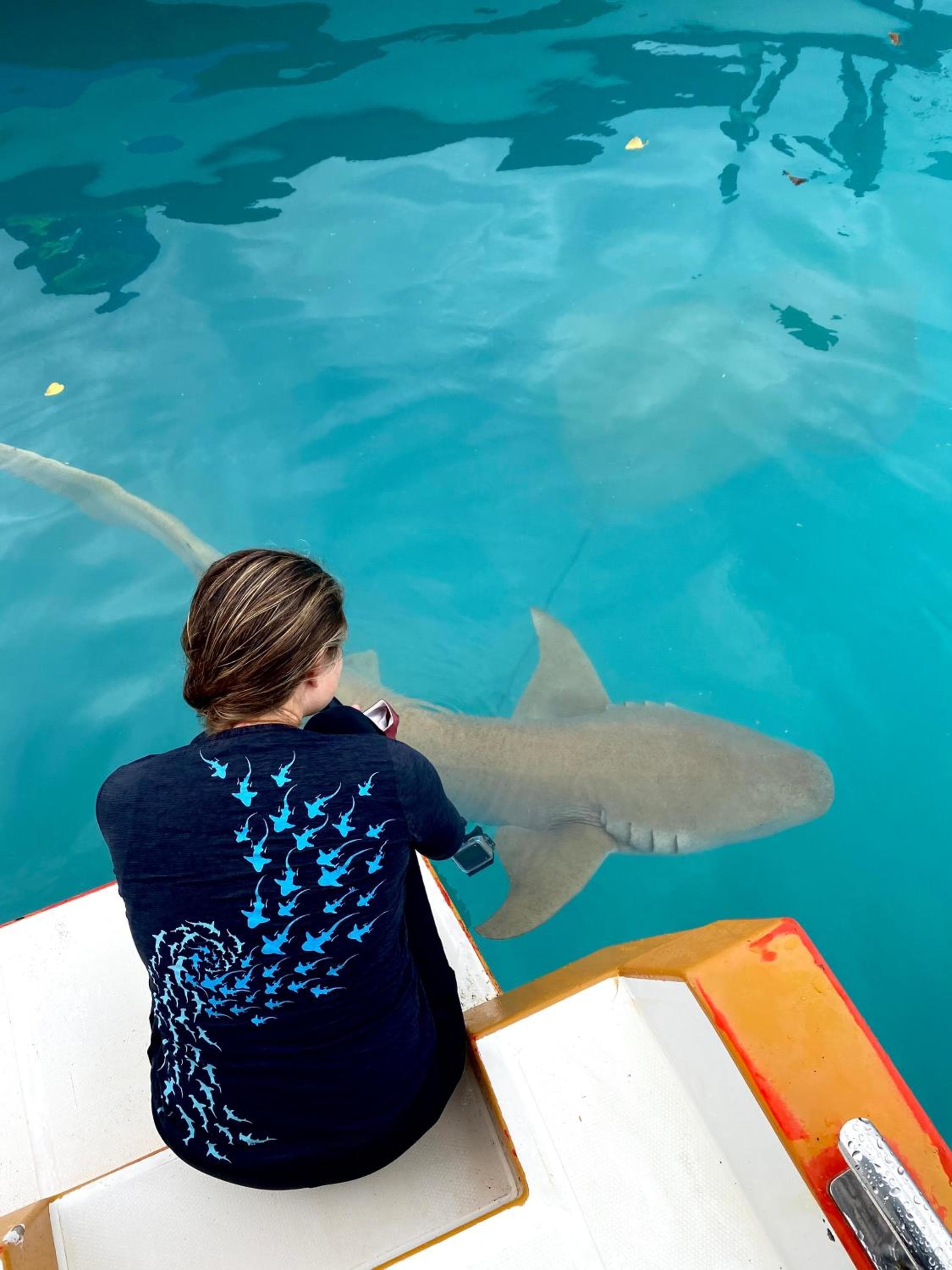 Summer Vibes Beach Front - View 10