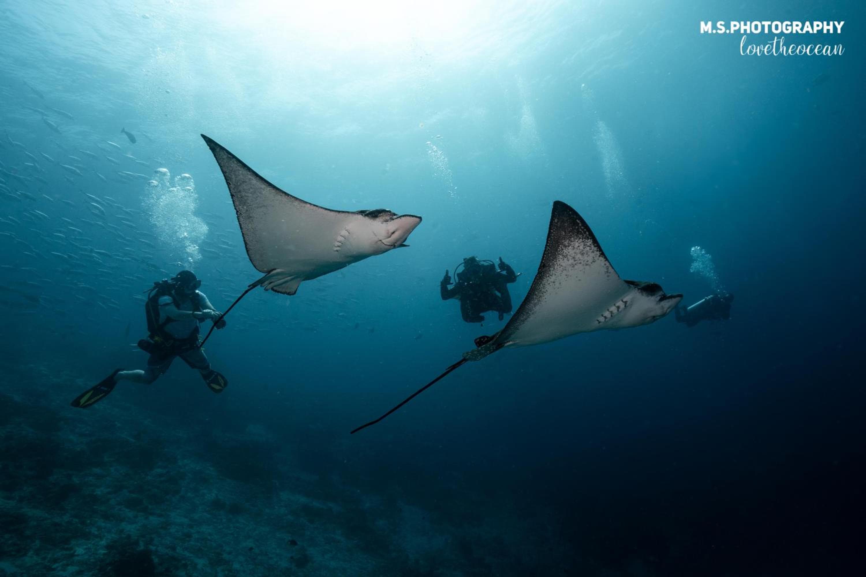 Summer Vibes Beach Front - View 9