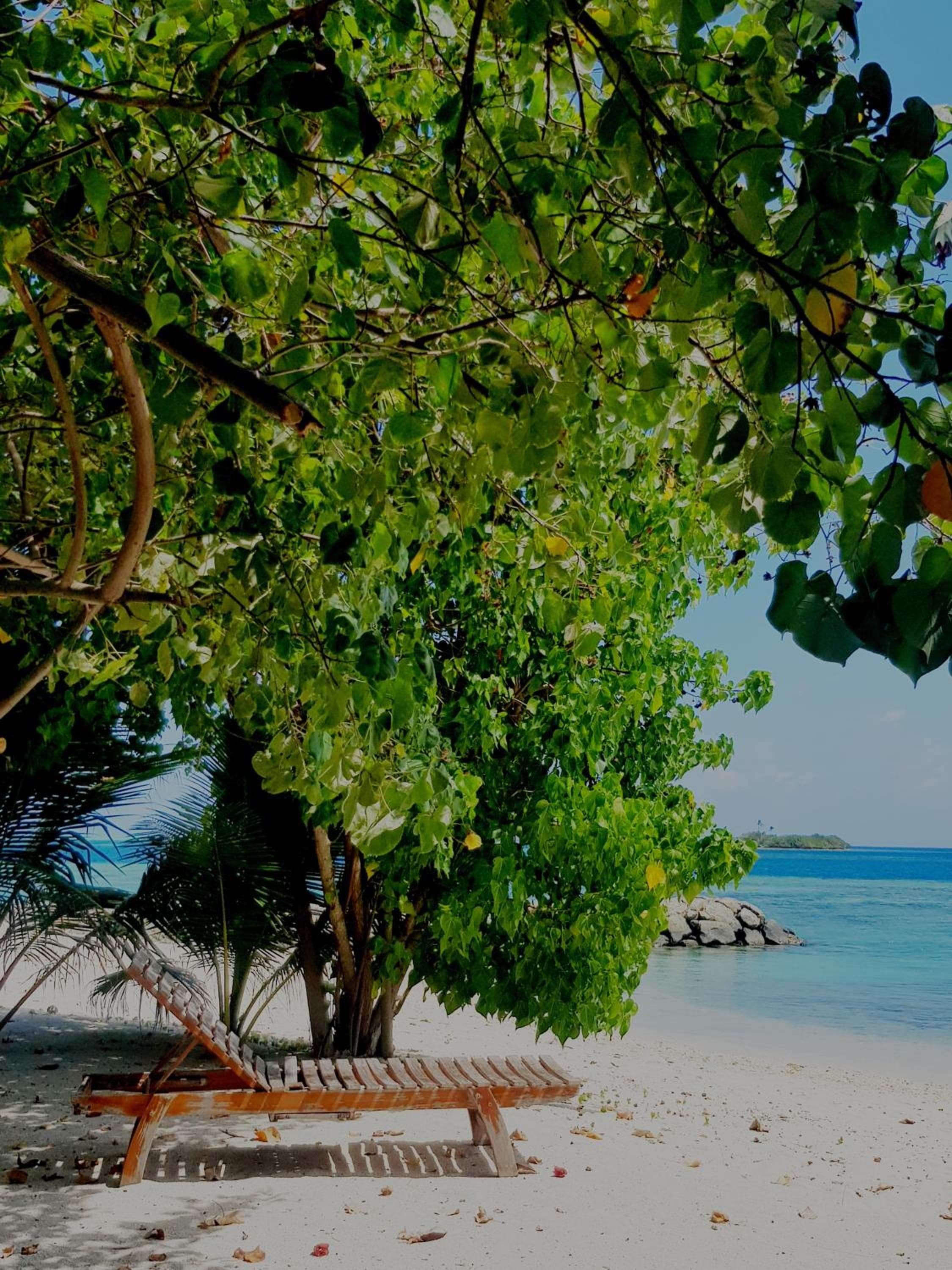 Summer Vibes Beach Front - View 223