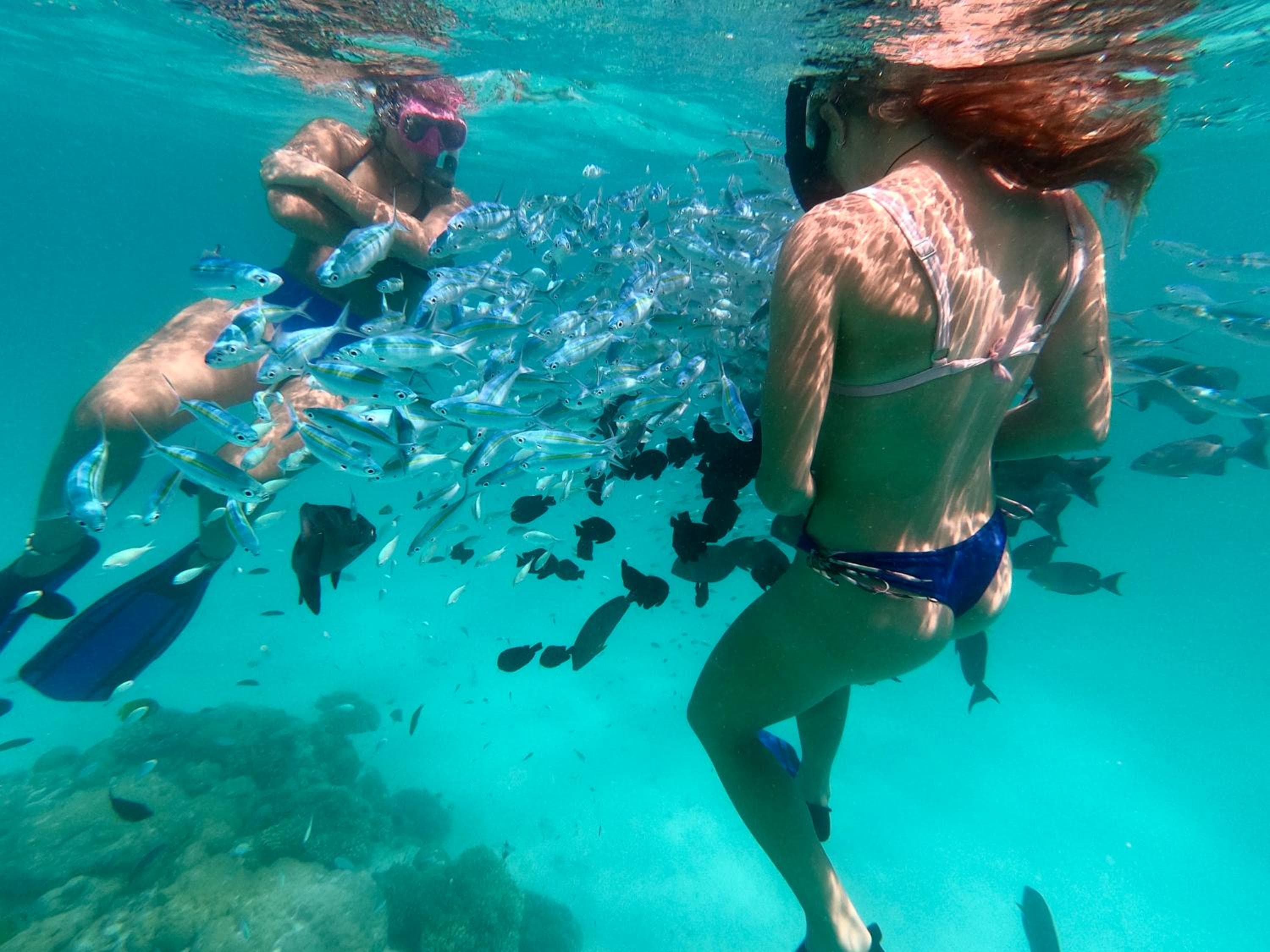 Summer Vibes Beach Front - View 84