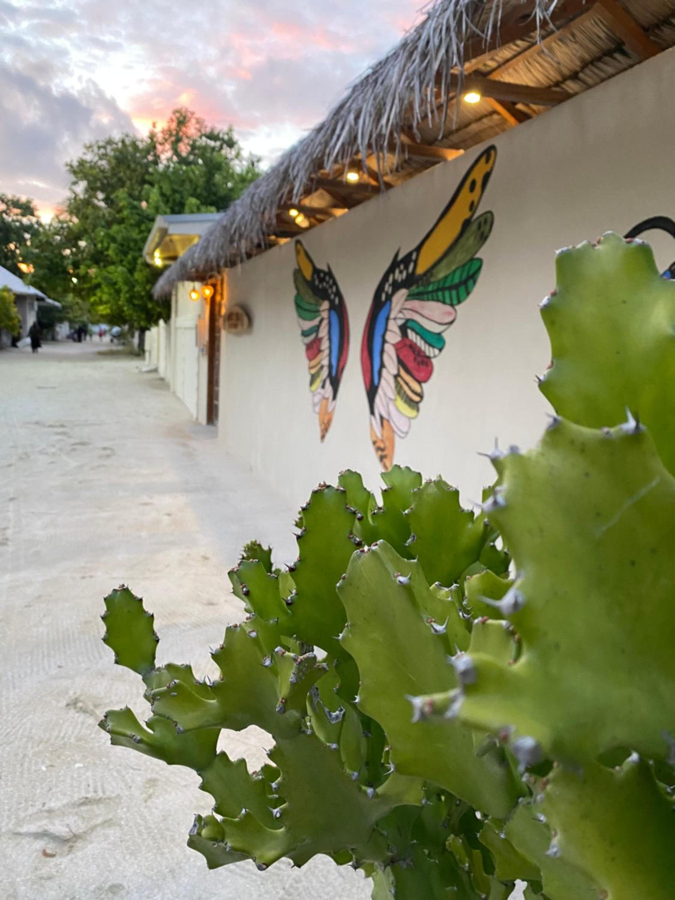 Summer Vibes Beach Front - View 224