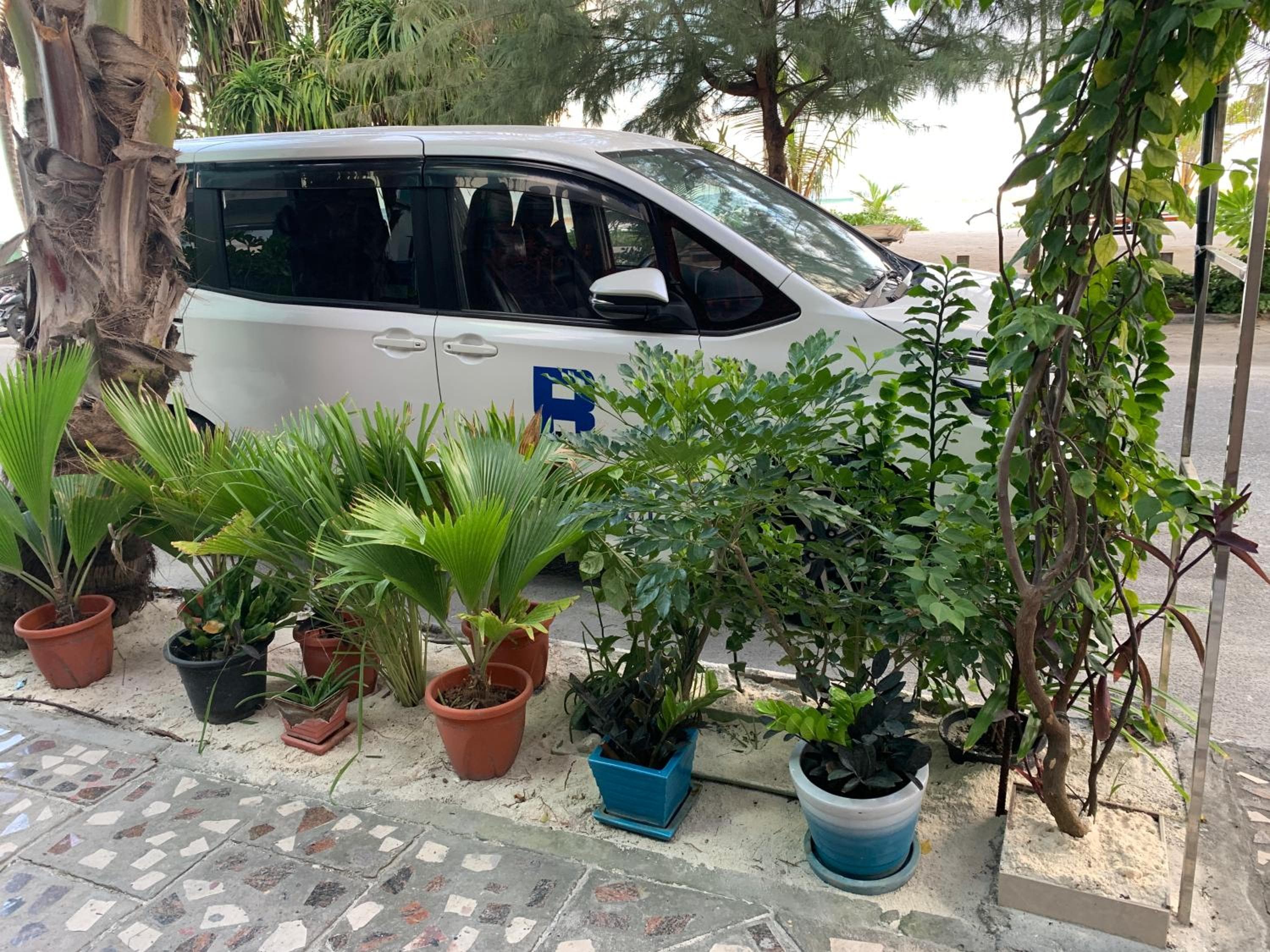 Rivethi Beach - View 41