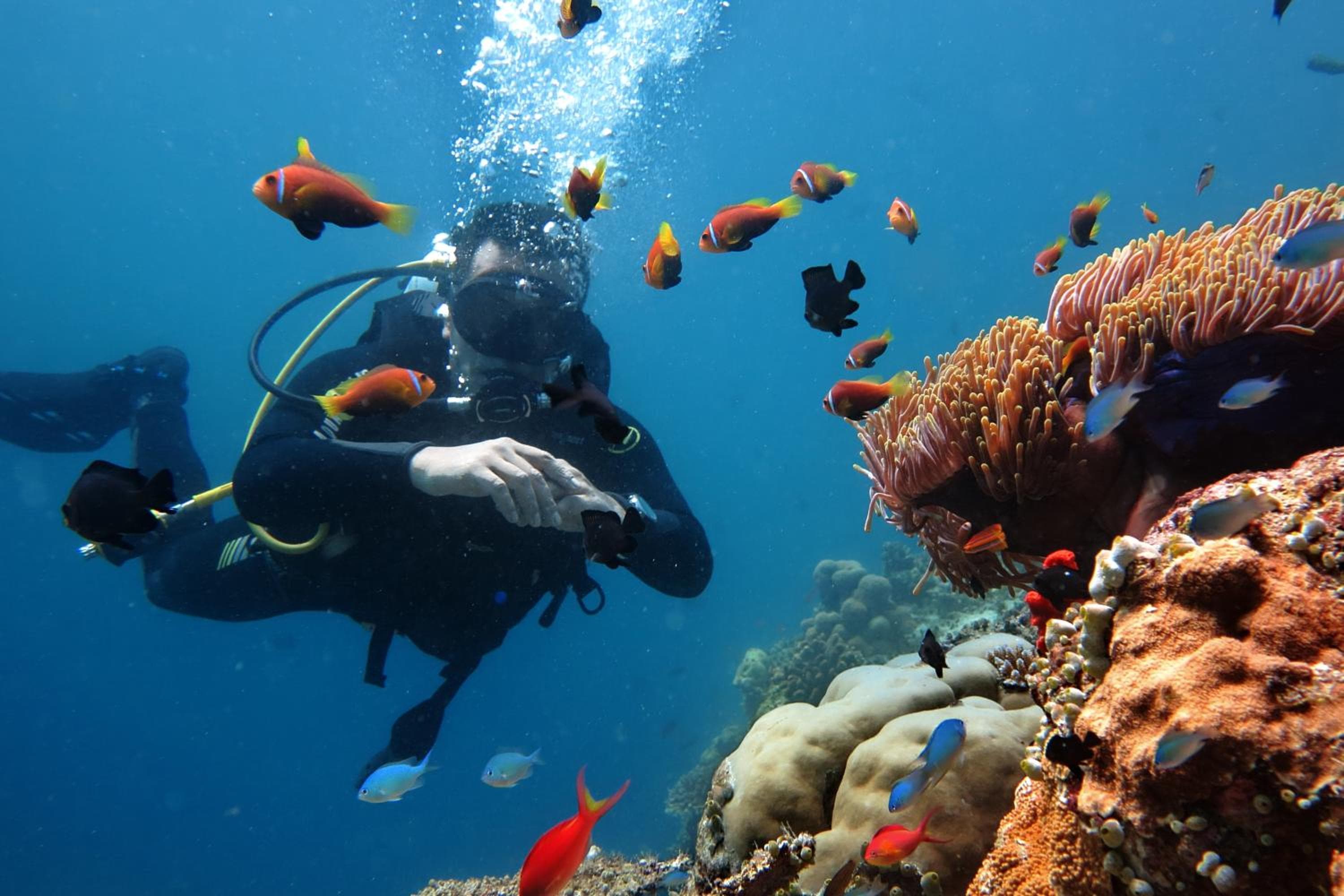 Stingray Beach Inn - View 10