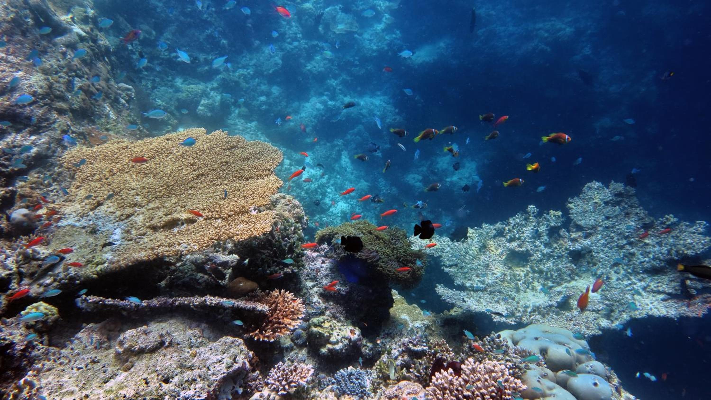 Stingray Beach Inn - View 47