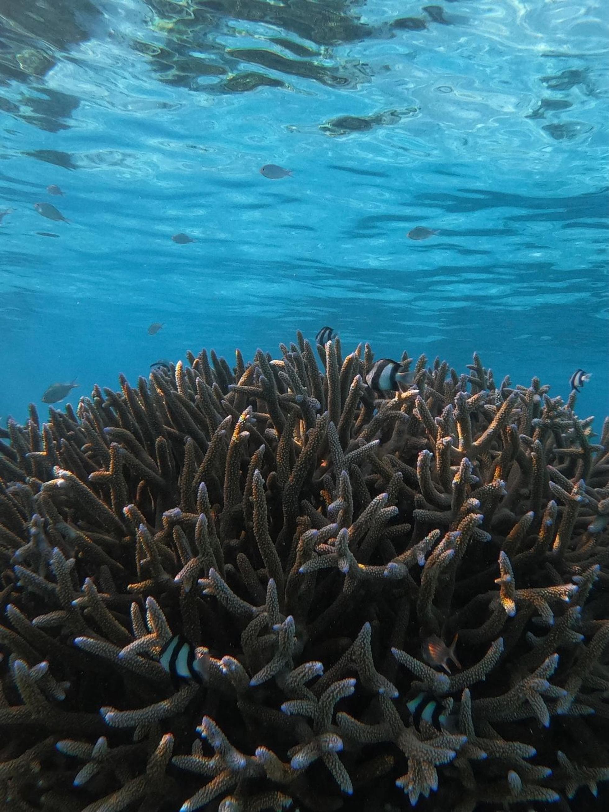 Summer Vibes Beach Front - View 202