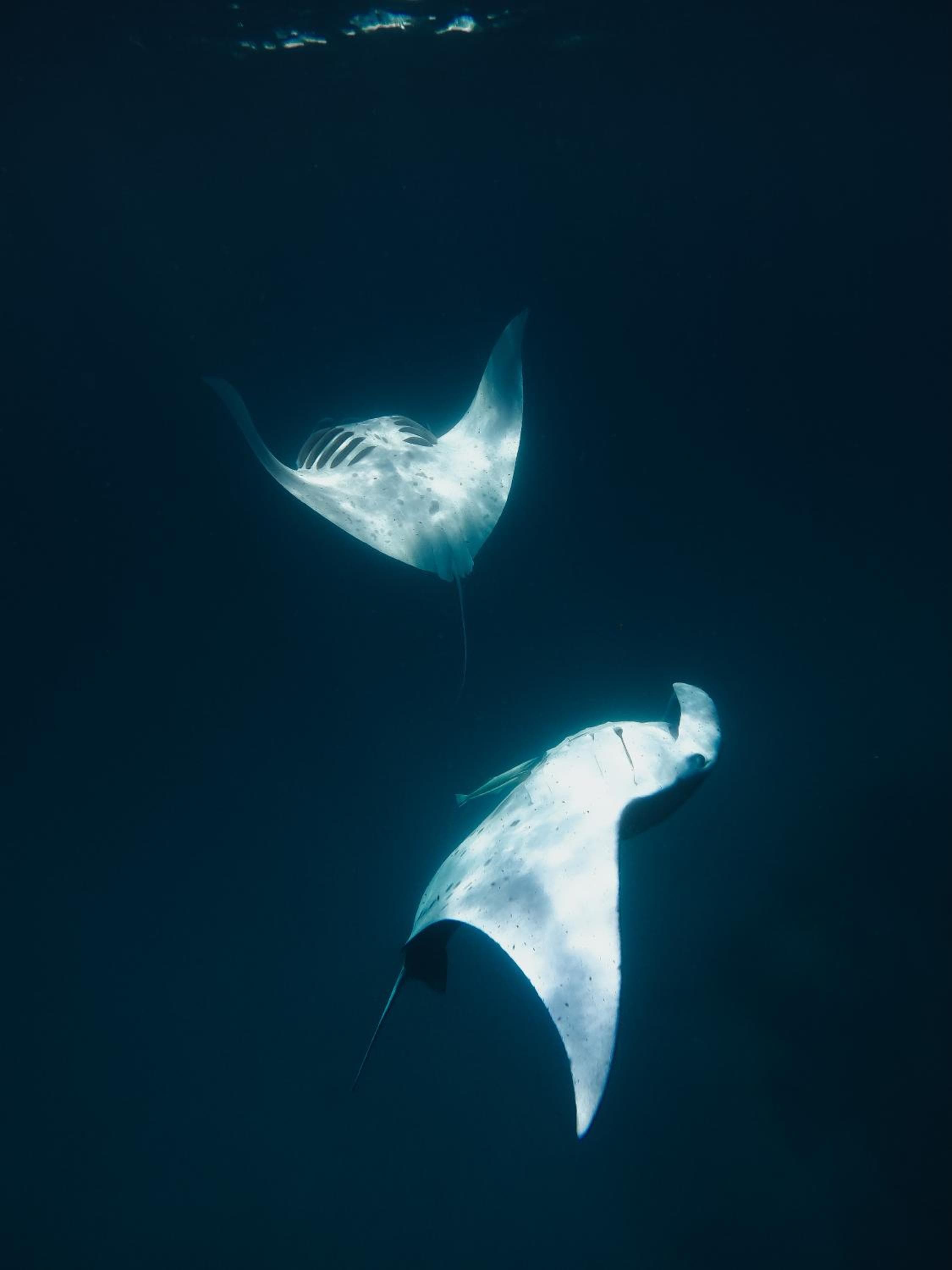 Summer Vibes Beach Front - View 230