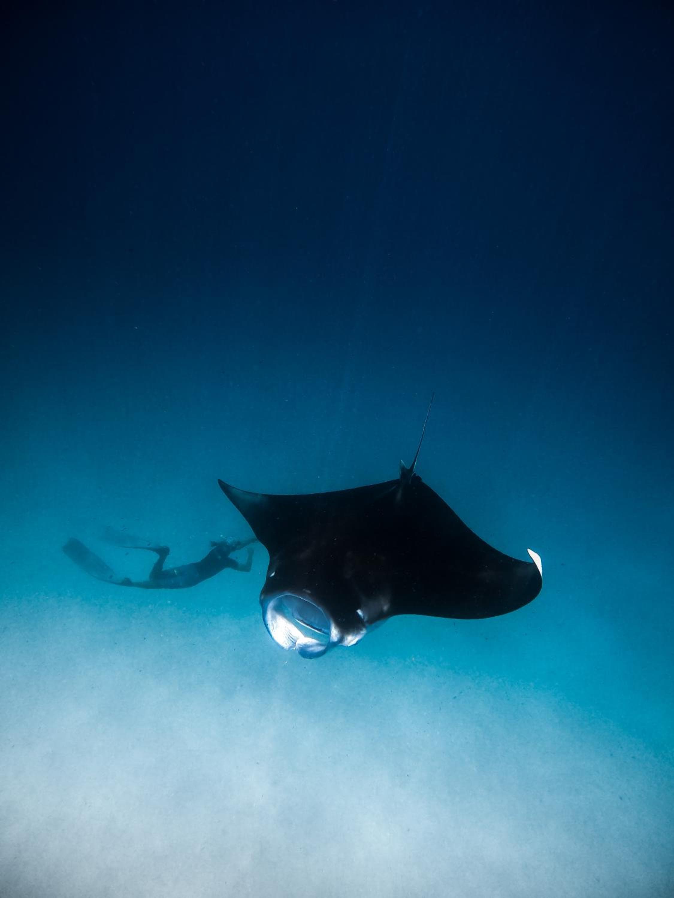 Summer Vibes Beach Front - View 231