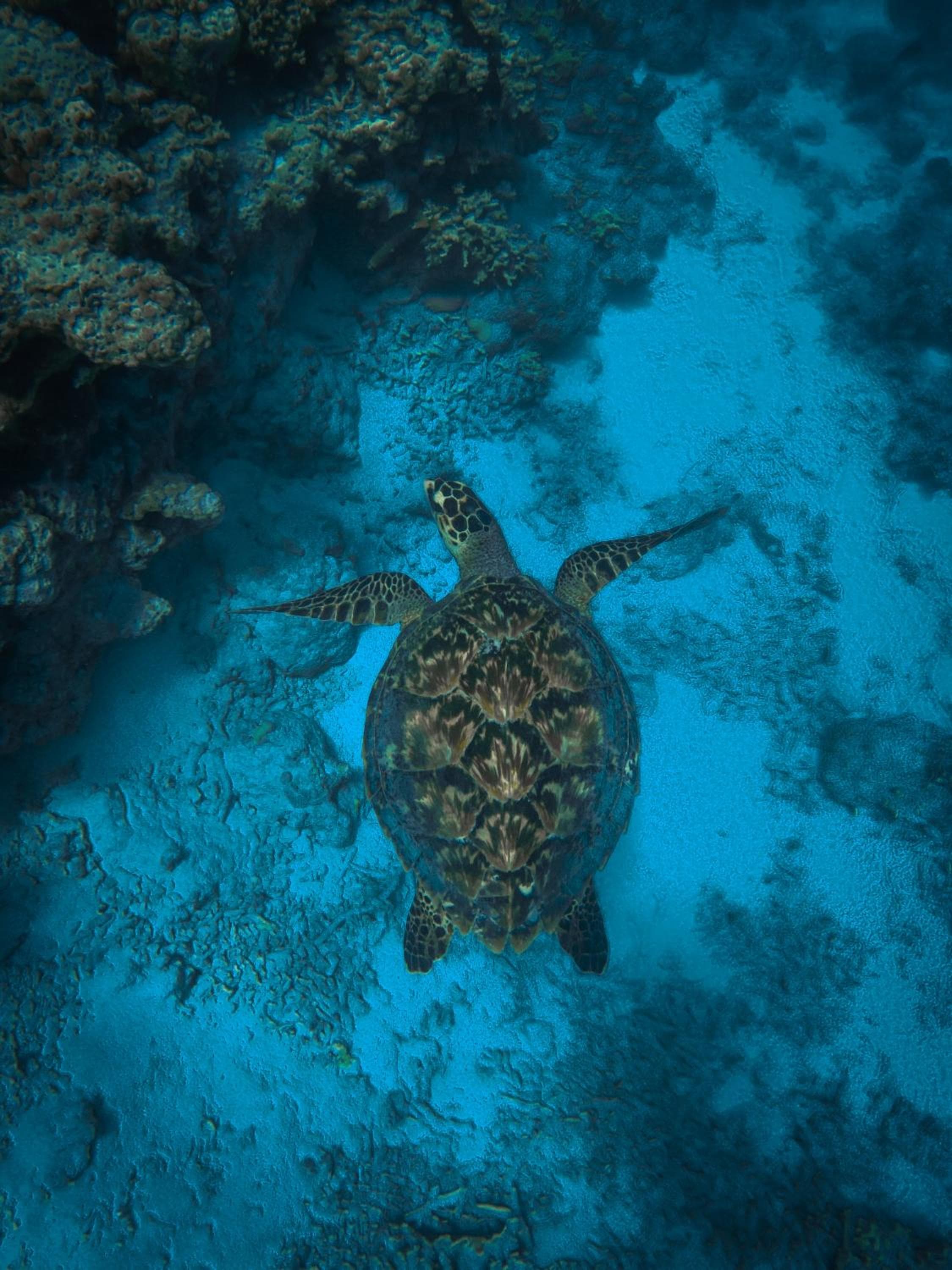 Summer Vibes Beach Front - View 200