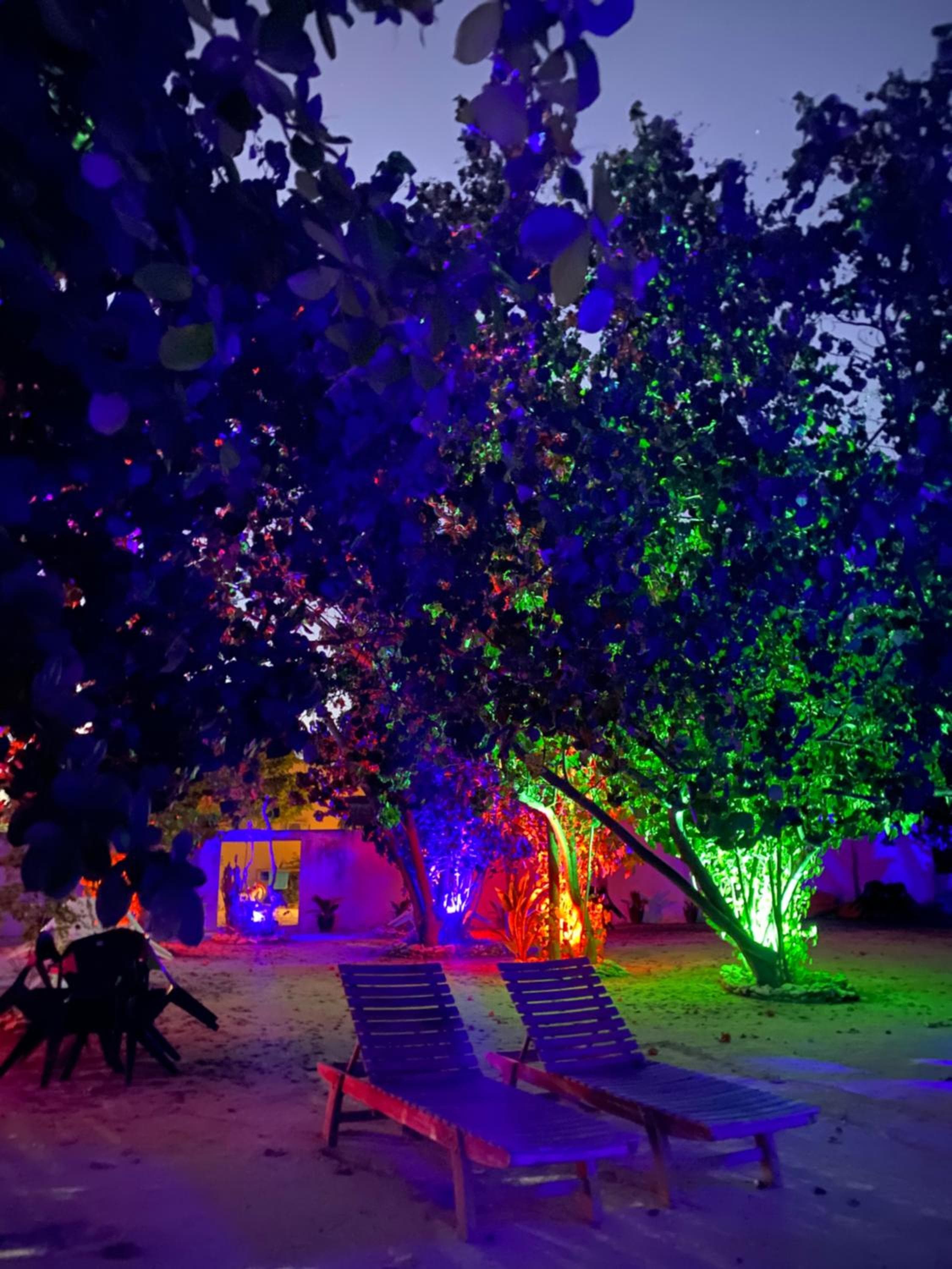 Summer Vibes Beach Front - View 197