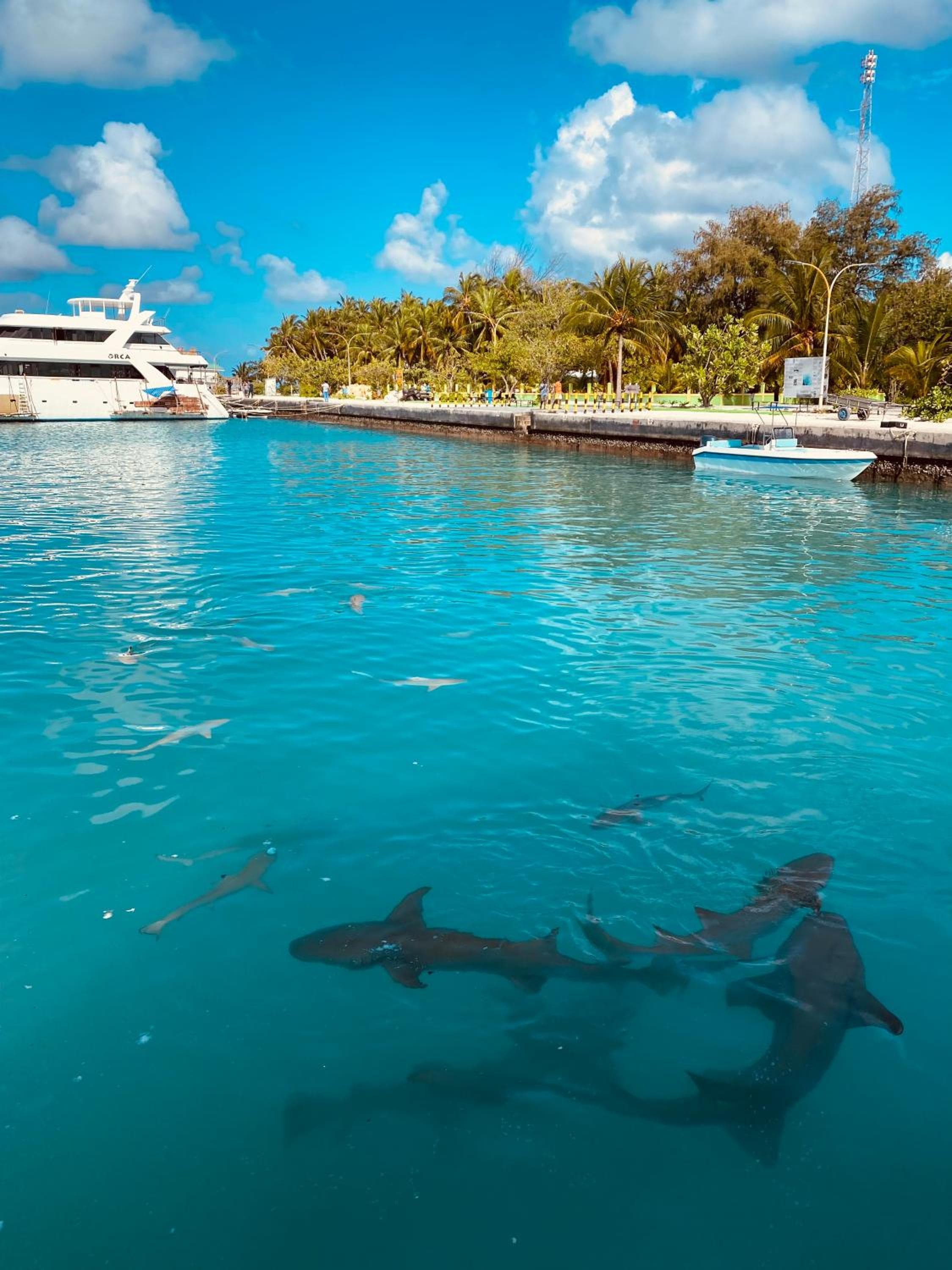 Summer Vibes Beach Front - View 196