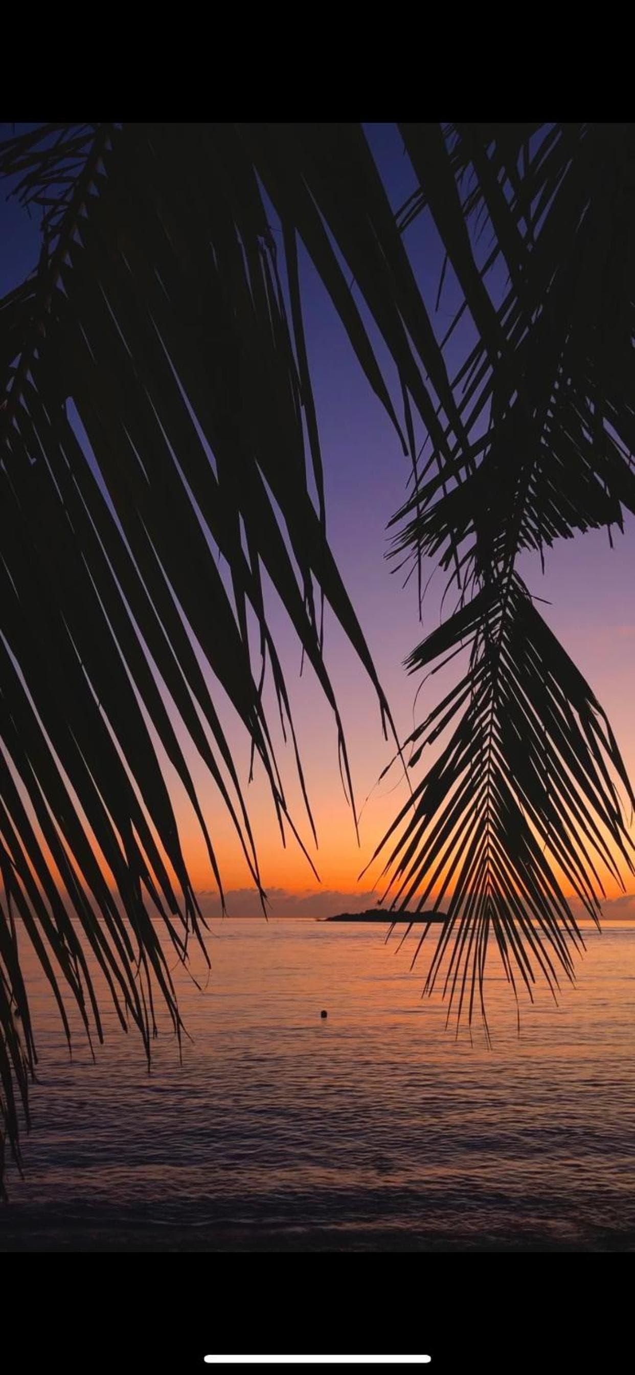 Summer Vibes Beach Front - View 195