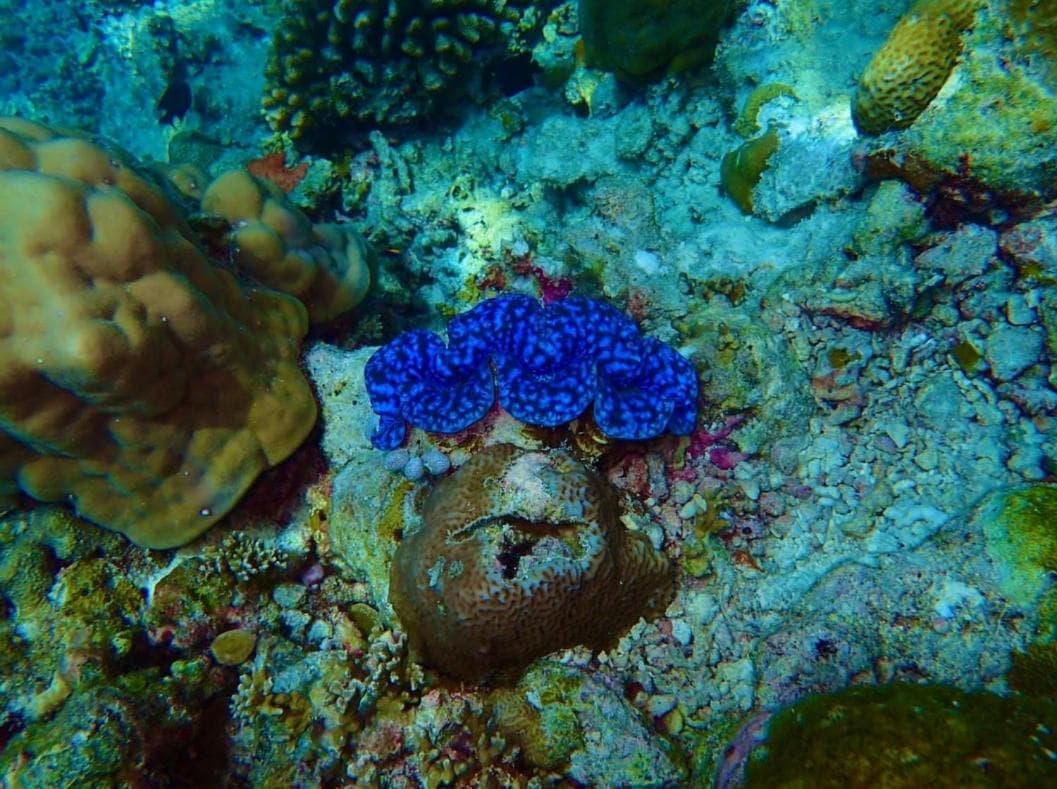 Ras Rana Lodge - View 27